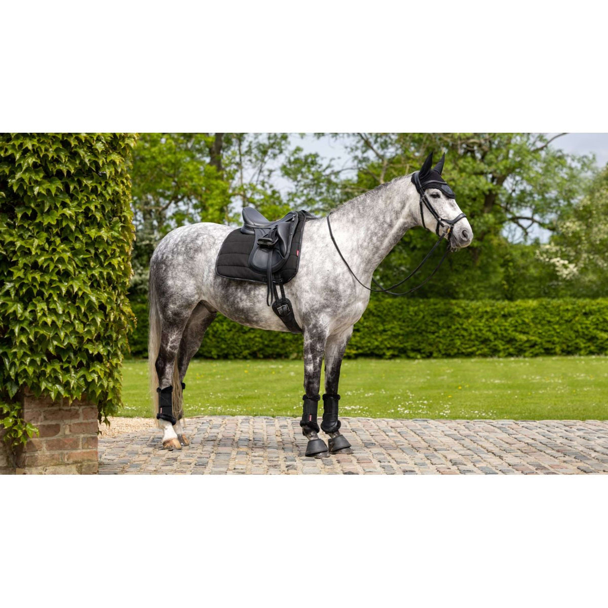 LeMieux Tapis de Selle Work Dressage Noir