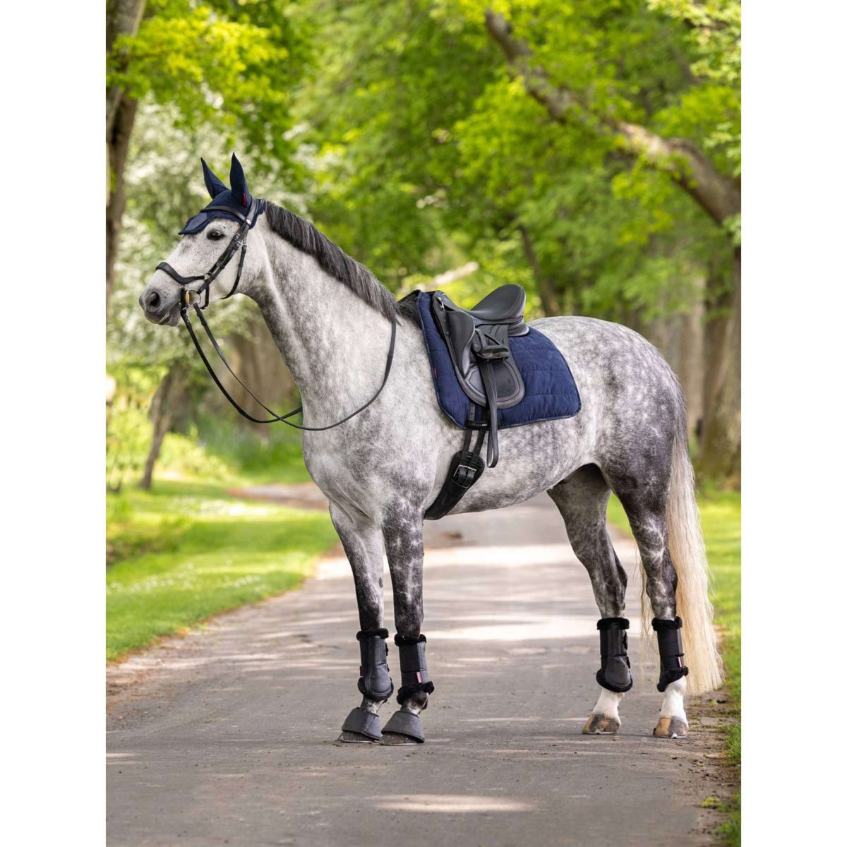 LeMieux Tapis de Selle Work Dressage Marin