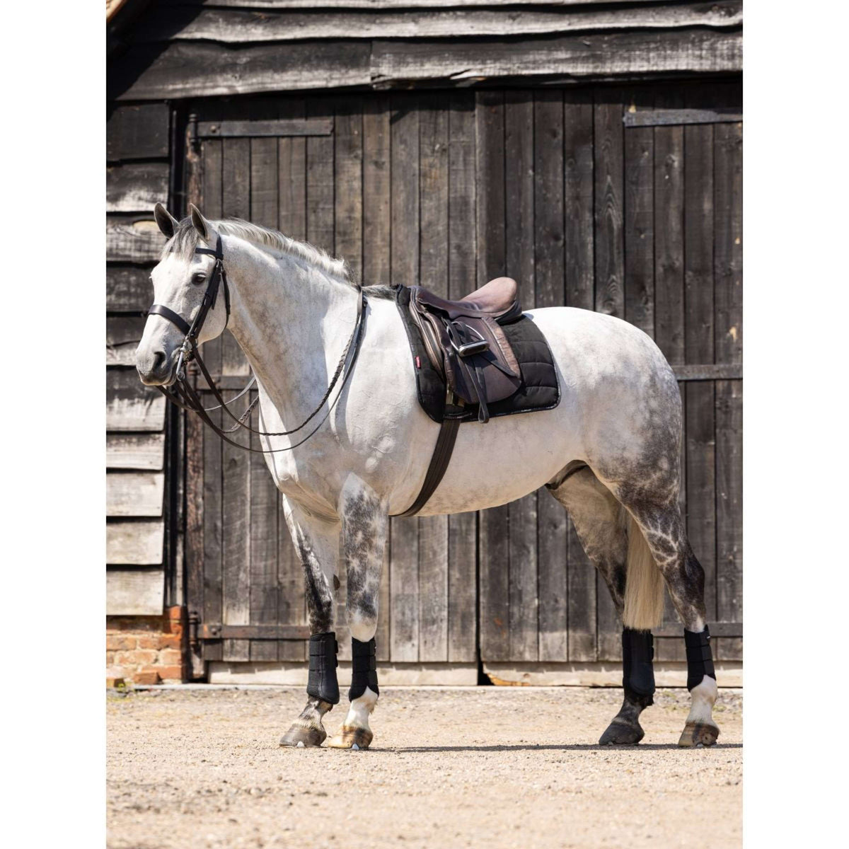 LeMieux Tapis de Selle Work Dressage Noir