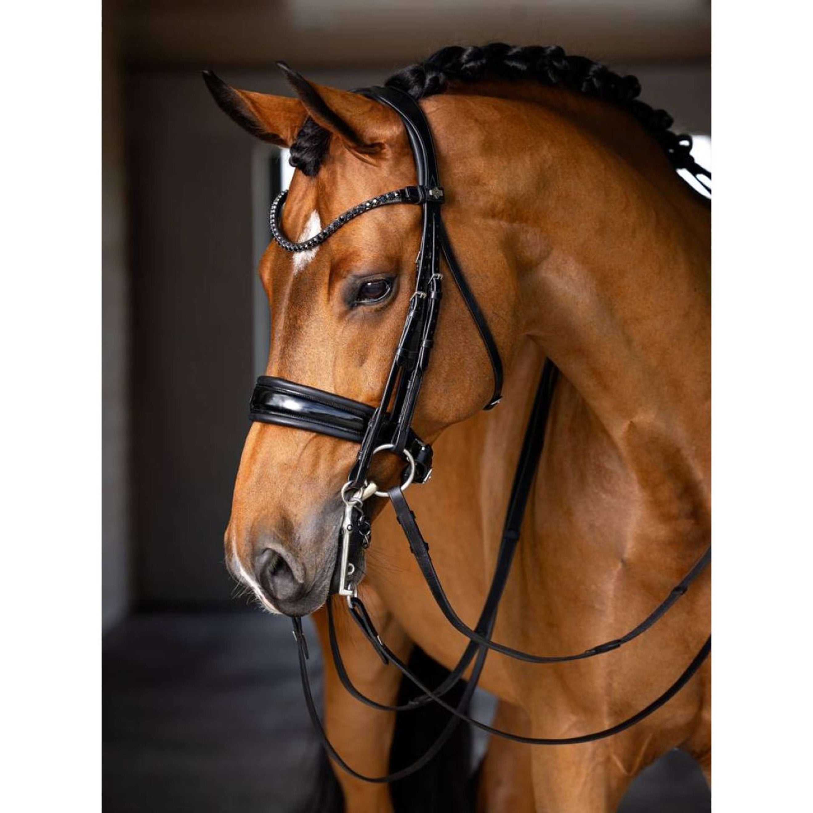 LeMieux Bride de dressage classique Noir LeMieux Bride de dressage classique Noir
