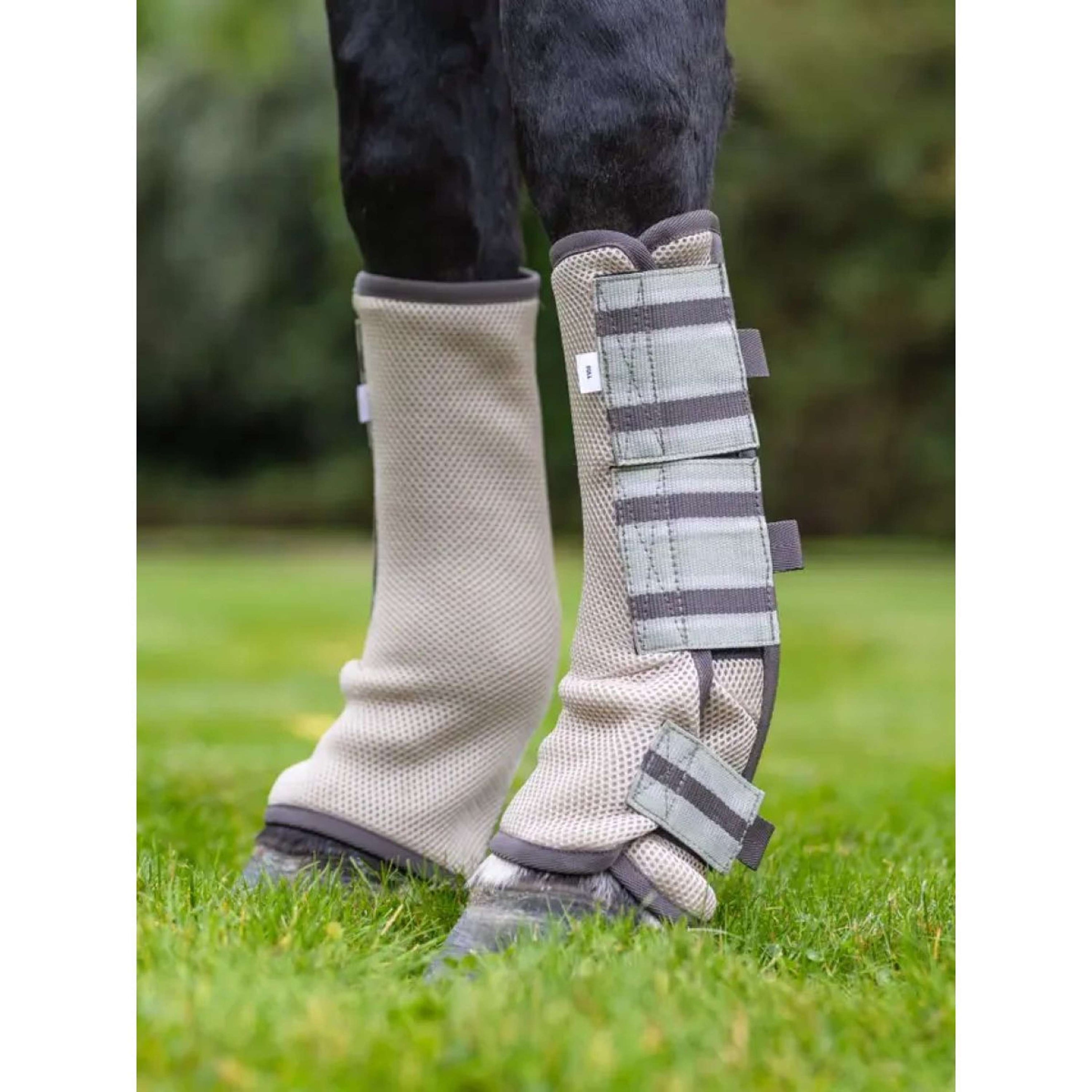 LeMieux Protecteurs anti-mouches Mesh Arika Gris