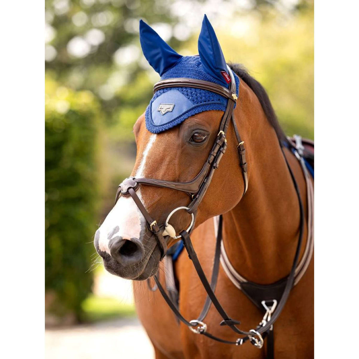 LeMieux Bonnet Anti-Mouches Loire Benetton Blue