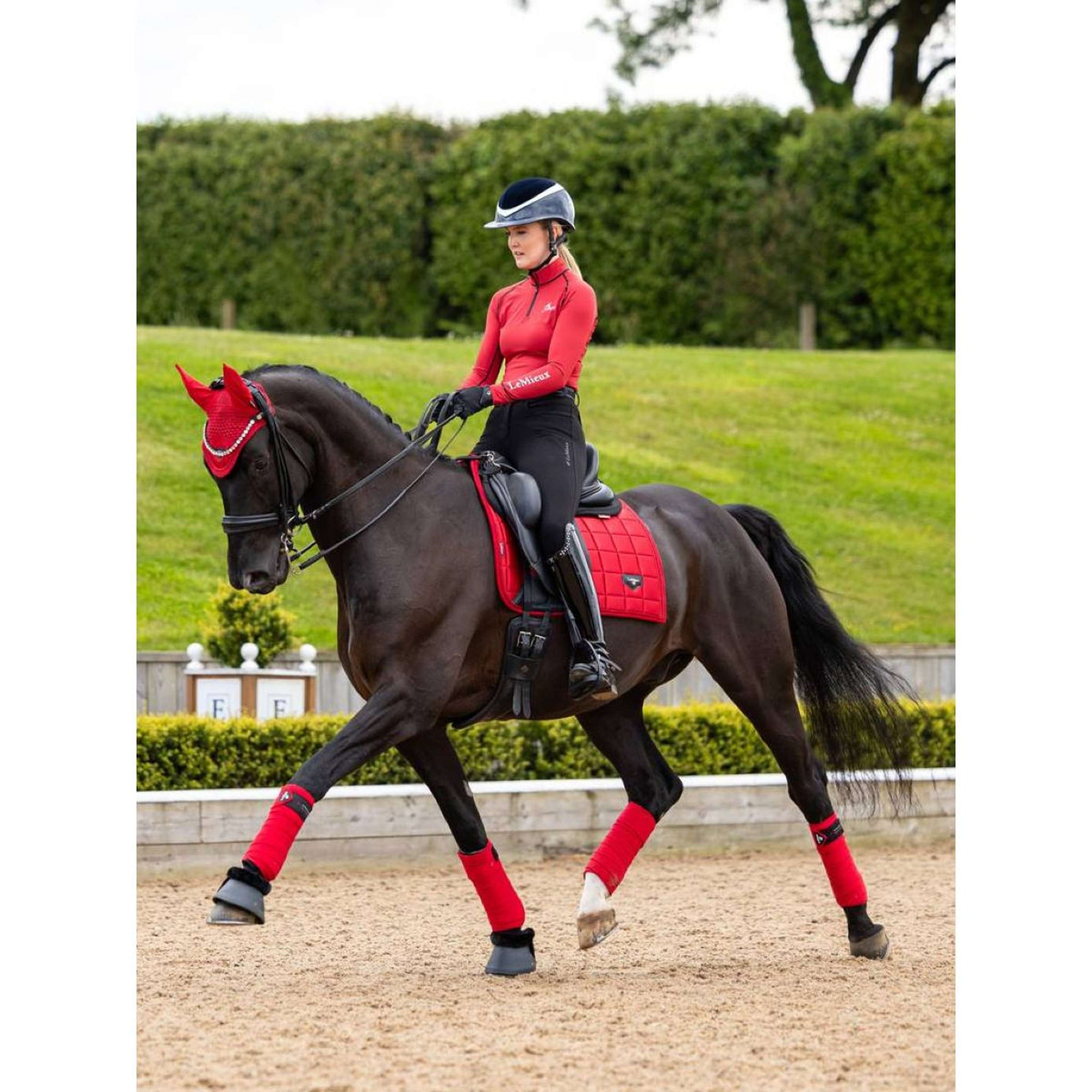 LeMieux Tapis de Selle Loire Dressage Chilli LeMieux Tapis de Selle Loire Dressage Chilli