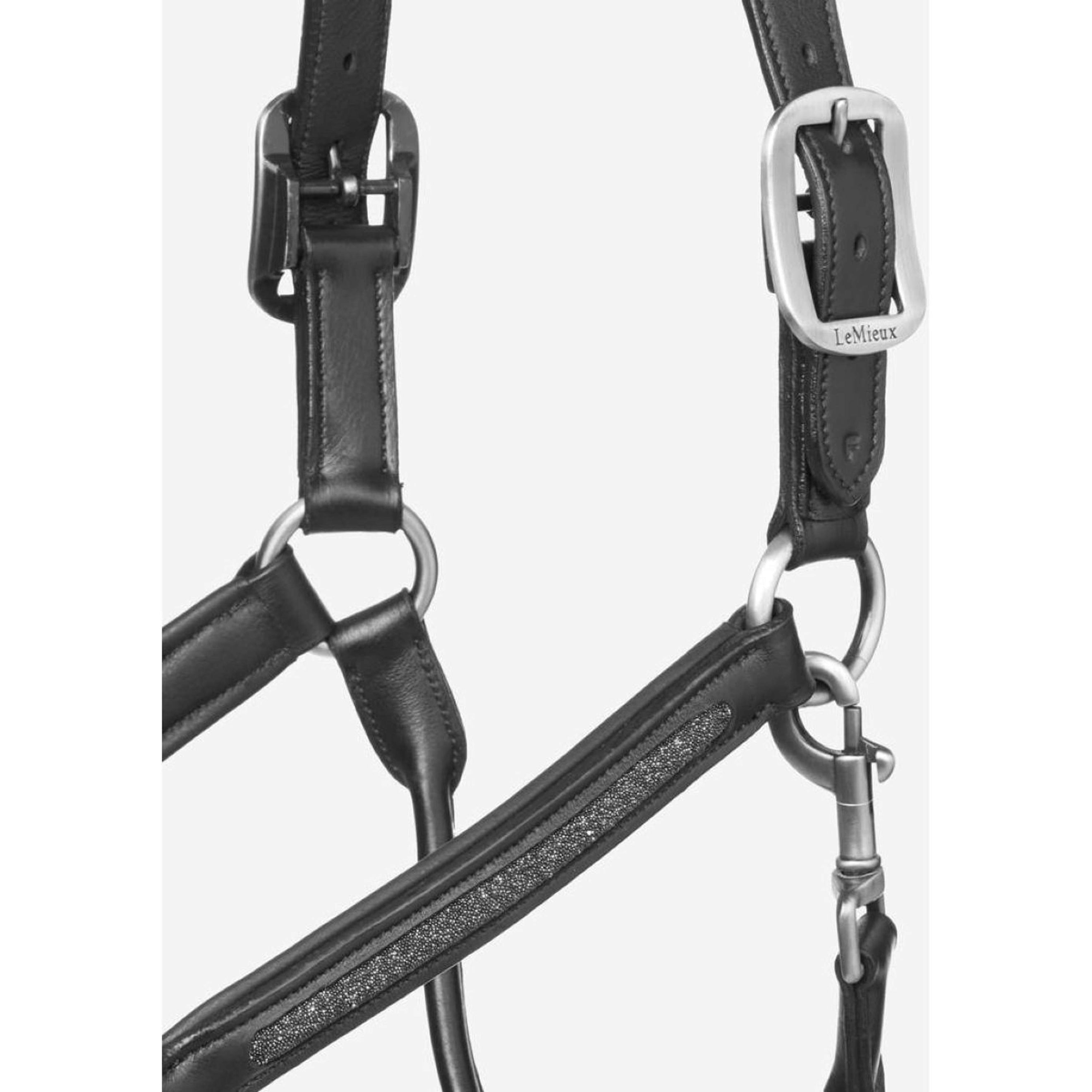 LeMieux Licol en Cuir Crystal Noir LeMieux Licol en Cuir Crystal Noir