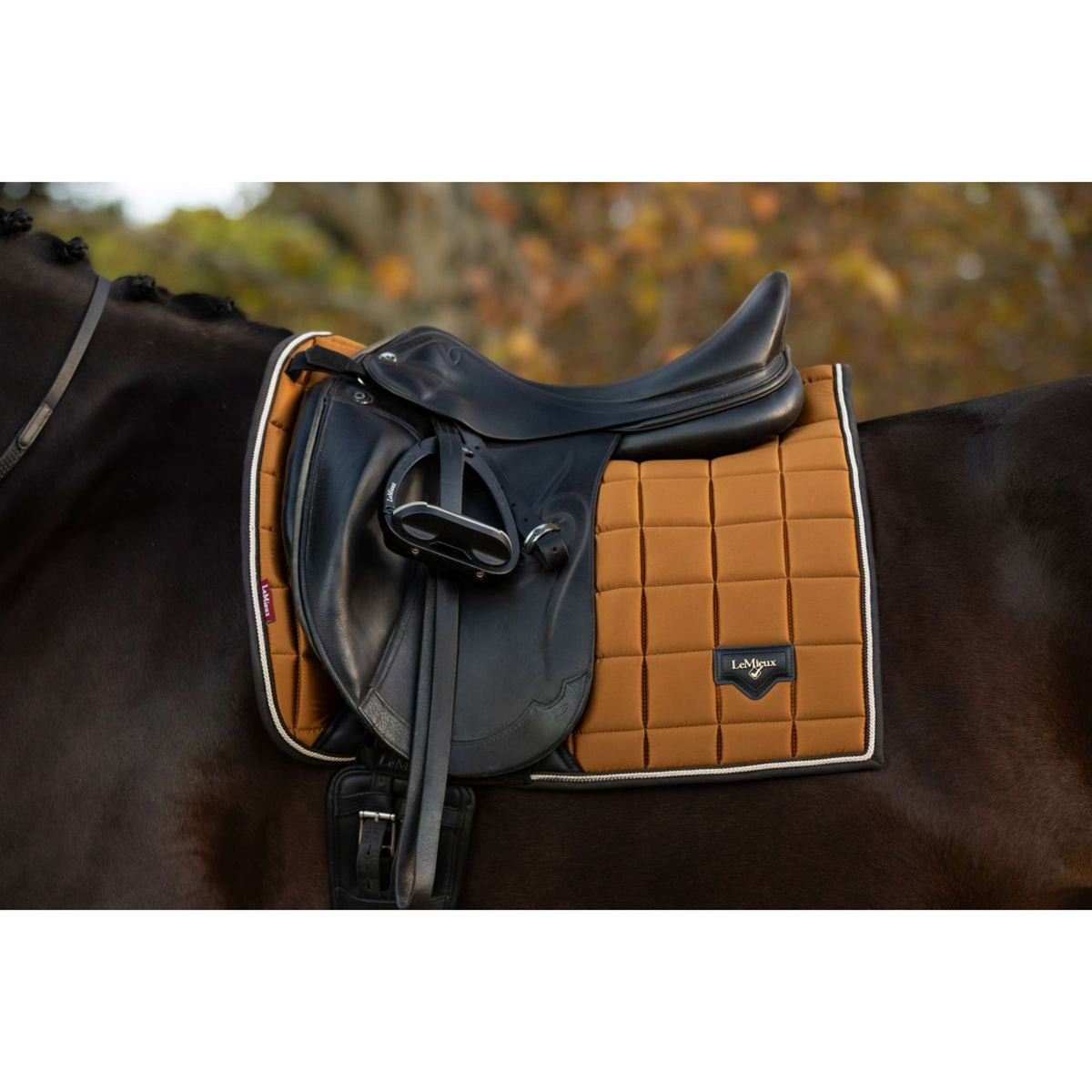 LeMieux Tapis de Selle Loire Dressage Ginger