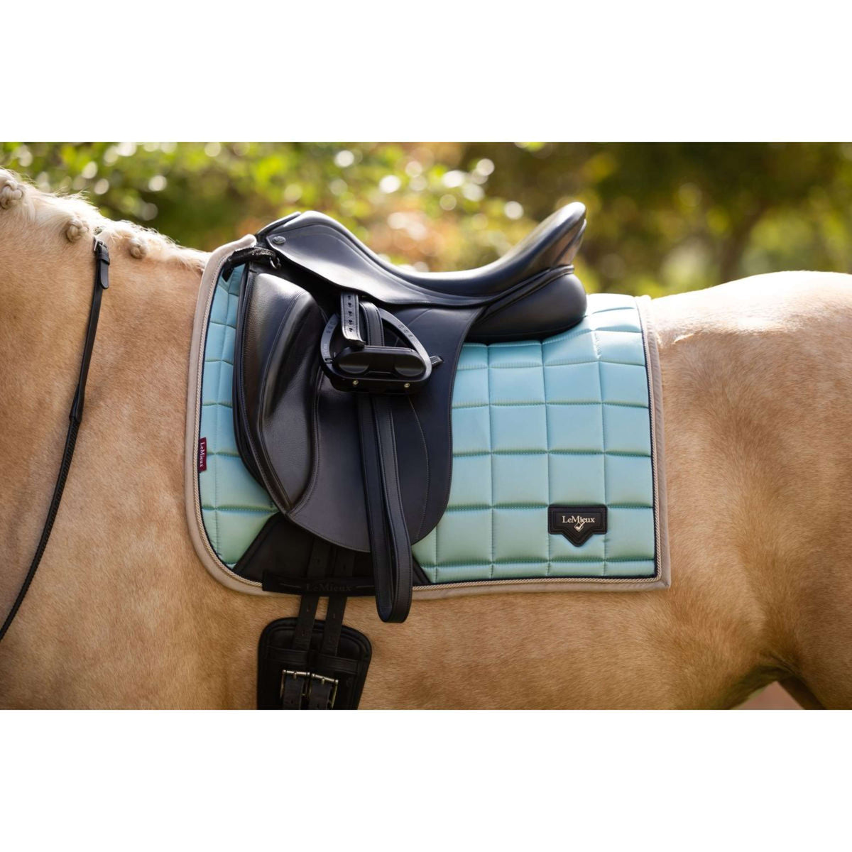 LeMieux Tapis de Selle Loire Classic Dressage Aqua