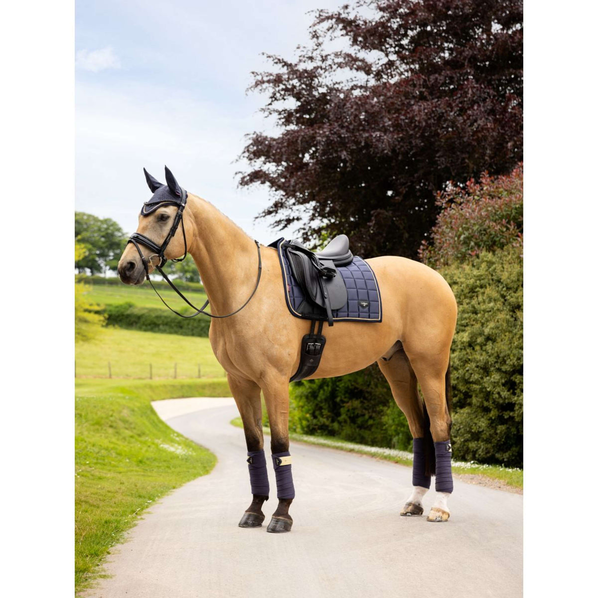 LeMieux Tapis de Selle Loire Classic Dressage Dusk Blue