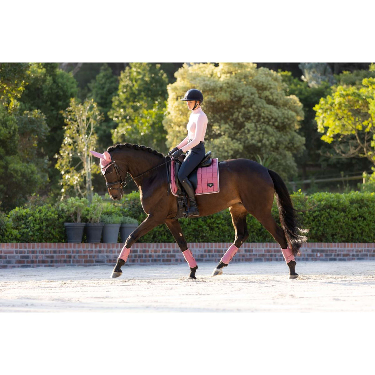 LeMieux Tapis de Selle Loire Classic Dressage Peony