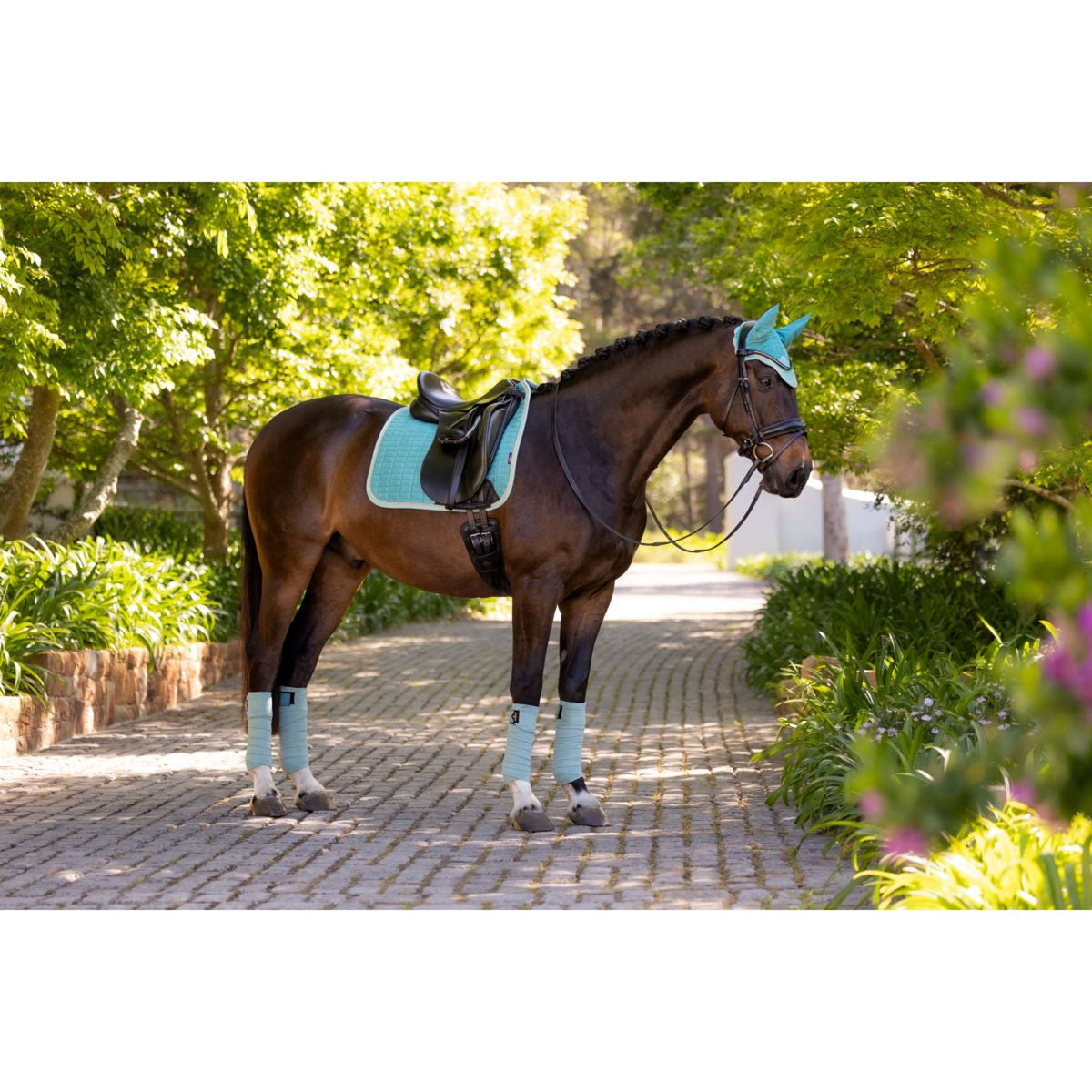 LeMieux Tapis de Selle Suede Square Dressage Lagoon