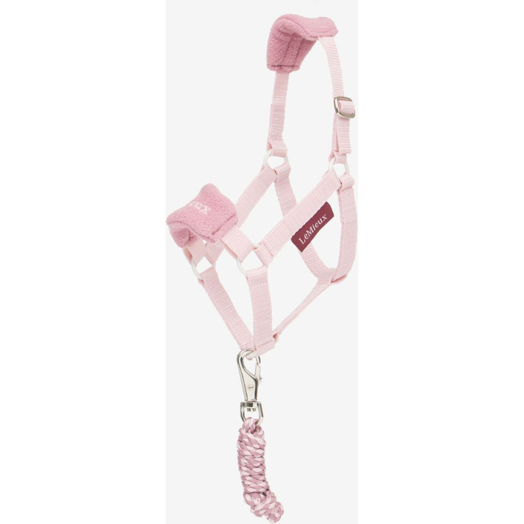 LeMieux Hobby Horse Vogue Ensemble Licol Blossom