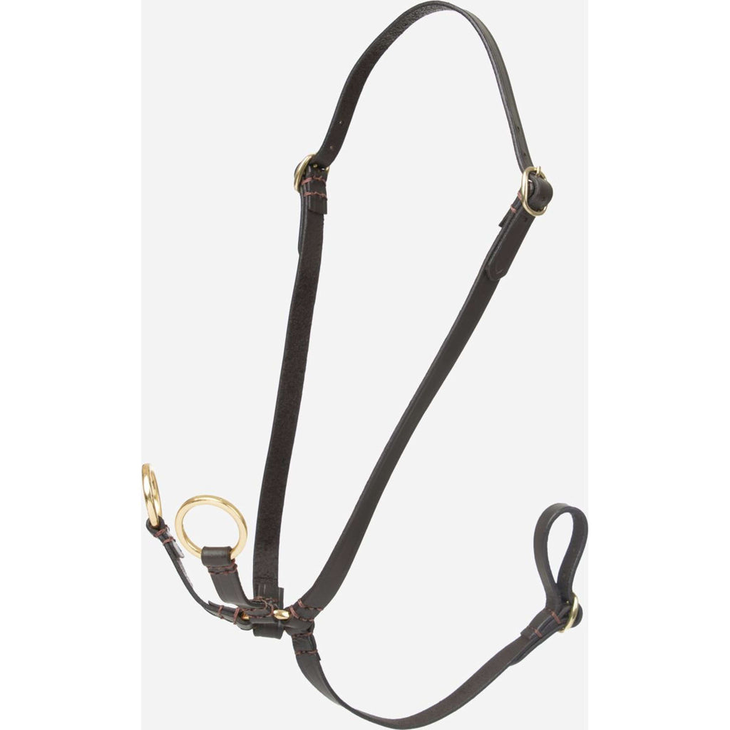 LeMieux Hobby Horse Running Martingale Marron