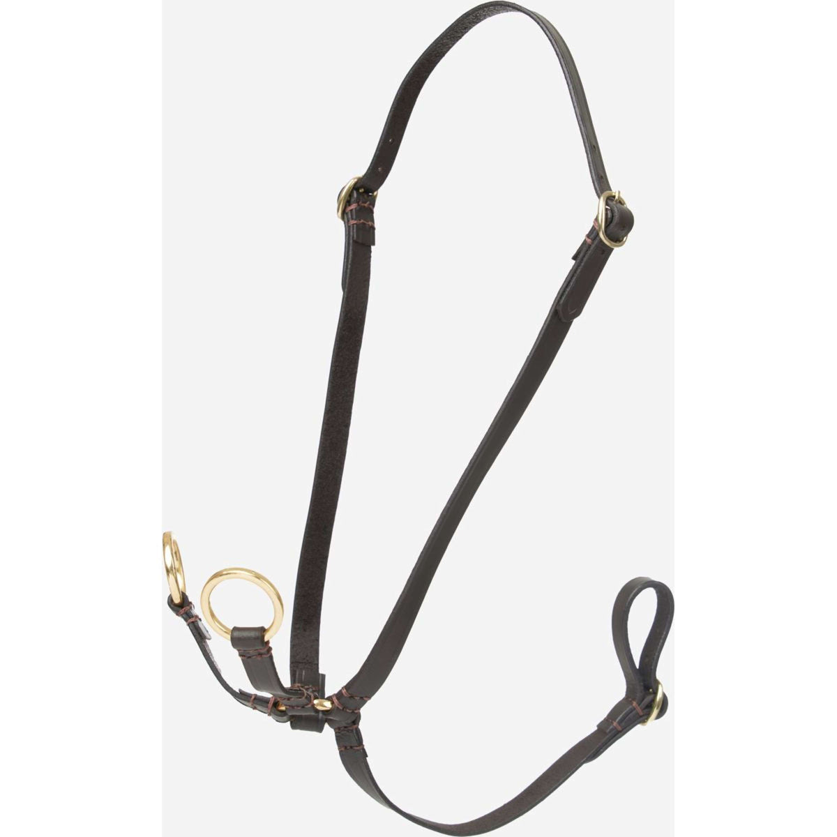 LeMieux Hobby Horse Running Martingale Marron