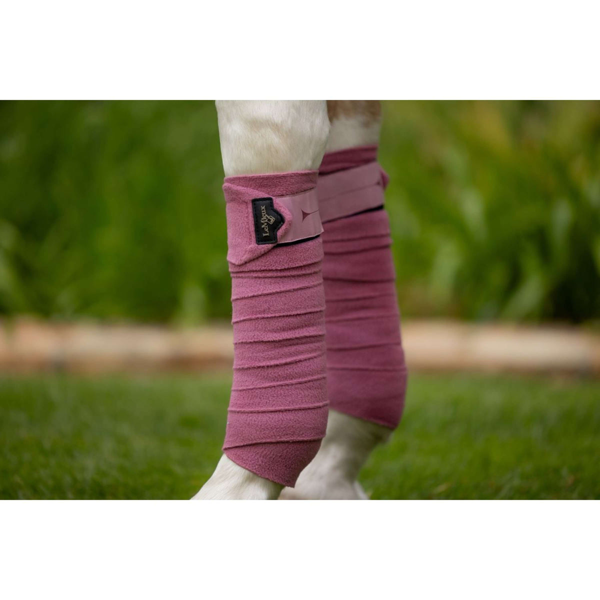 LeMieux Bandages Polo Peony