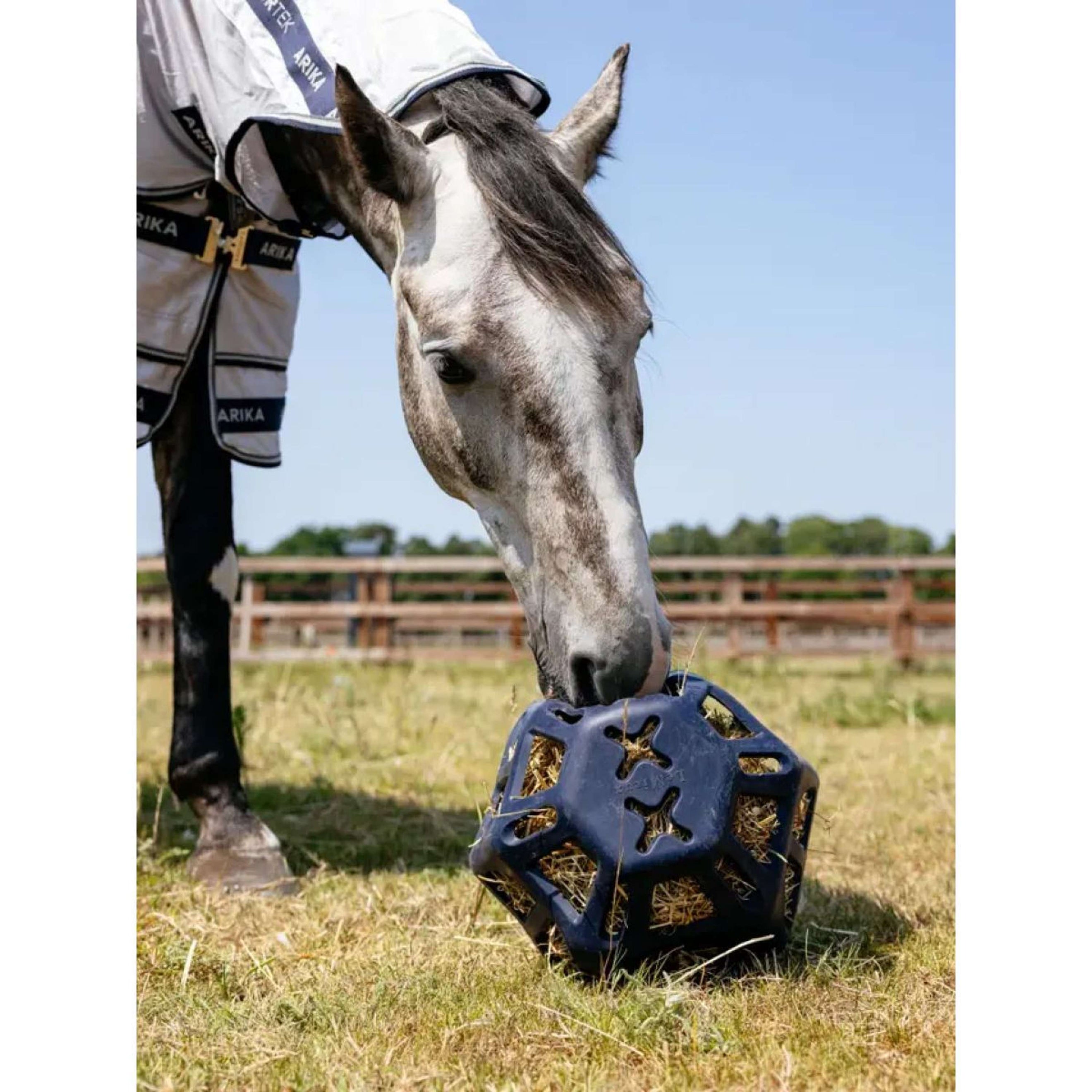 LeMieux Balle de Jeu Hay Marin