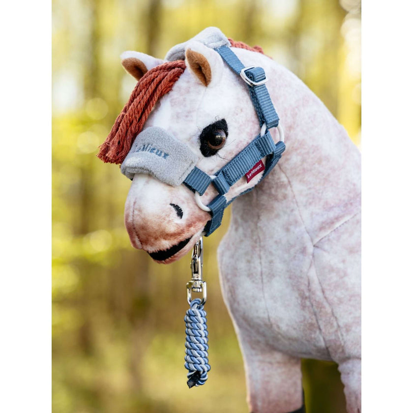 LeMieux Ensemble Licol Toy Pony Vogue Ice Blue