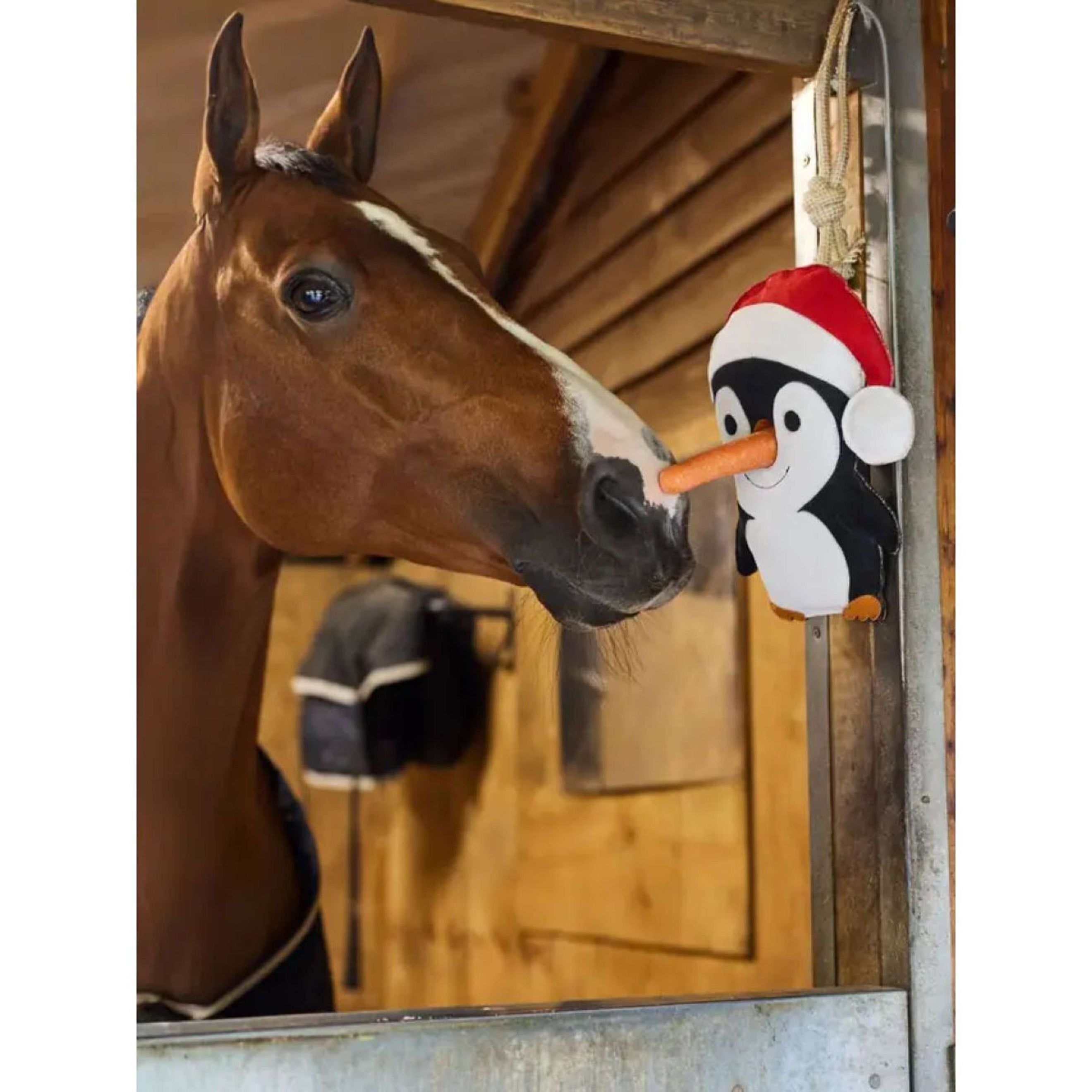 LeMieux Horse Toy Penguin Noir/Blanc LeMieux Horse Toy Penguin Noir/Blanc