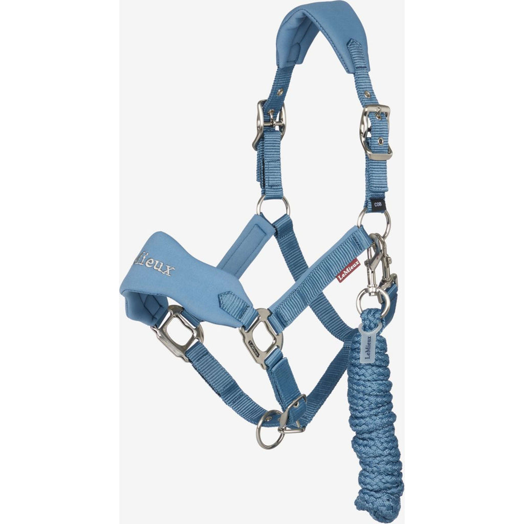 LeMieux Ensemble Licol Breakaway Vogue Ice Blue