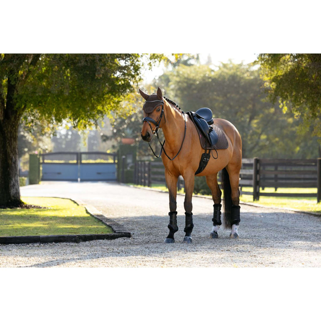 LeMieux Tapis de Selle Brilliance Dressage Espresso