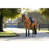 LeMieux Tapis de Selle Brilliance Dressage Espresso