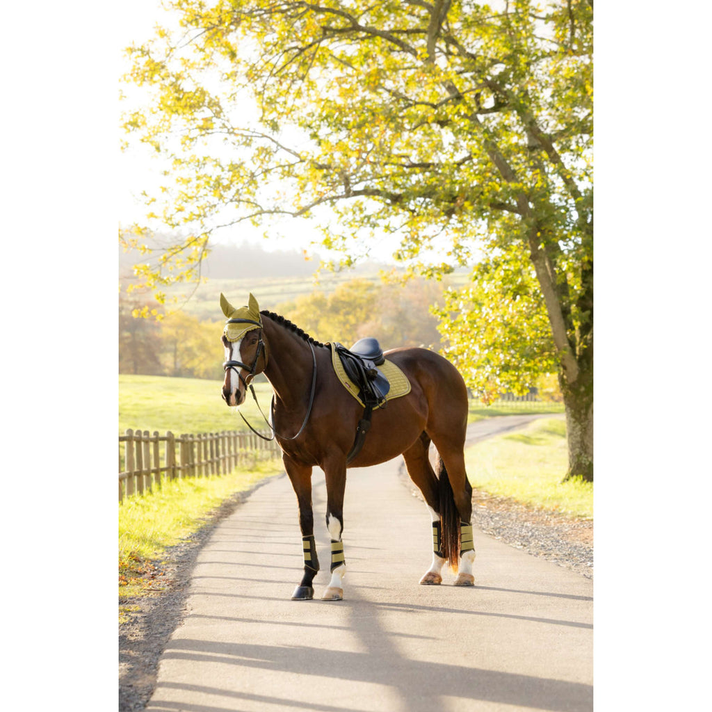 LeMieux Tapis de Selle Suede Close Contact Square de Saut Gooseberry