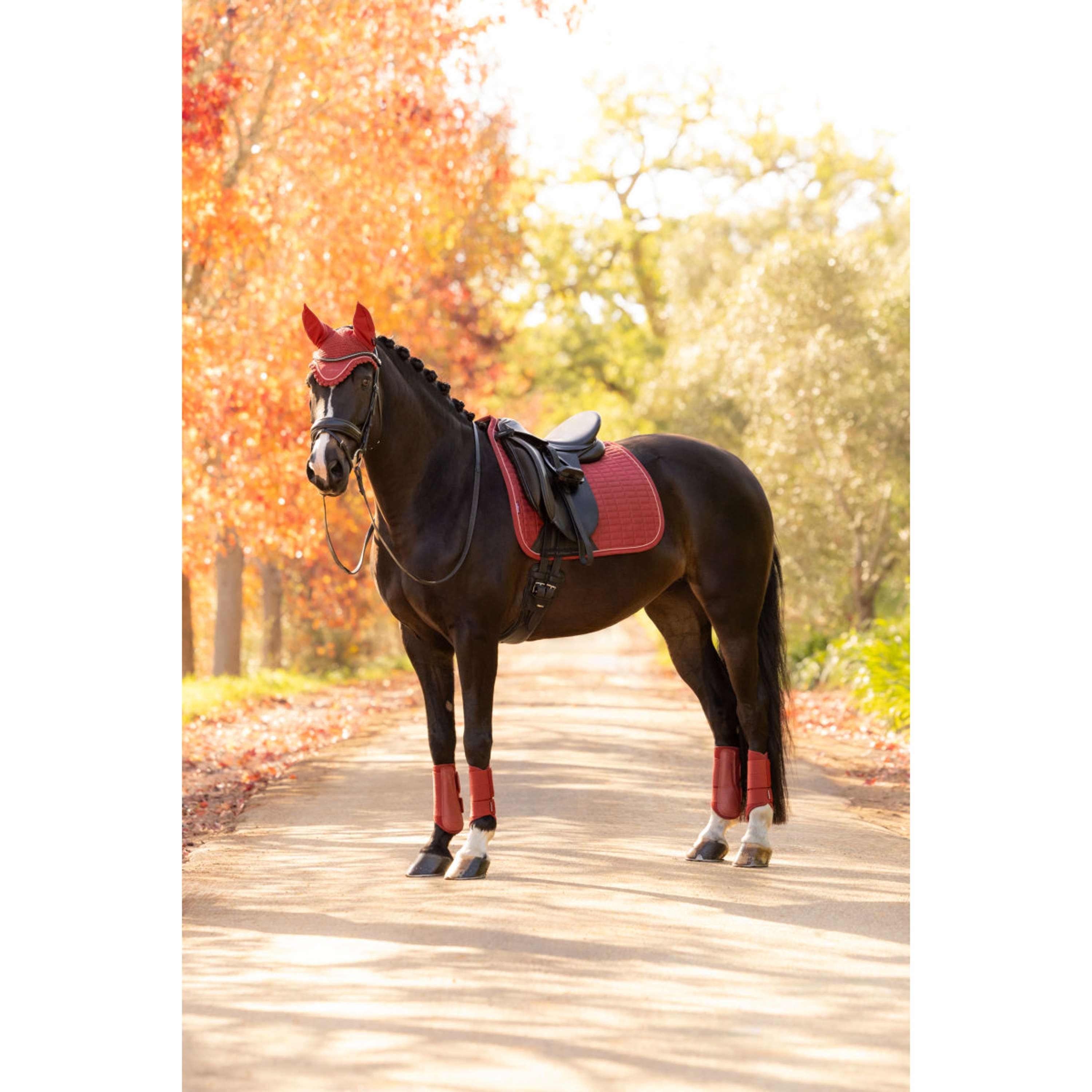 LeMieux Tapis de Selle Suede Square Dressage Russet