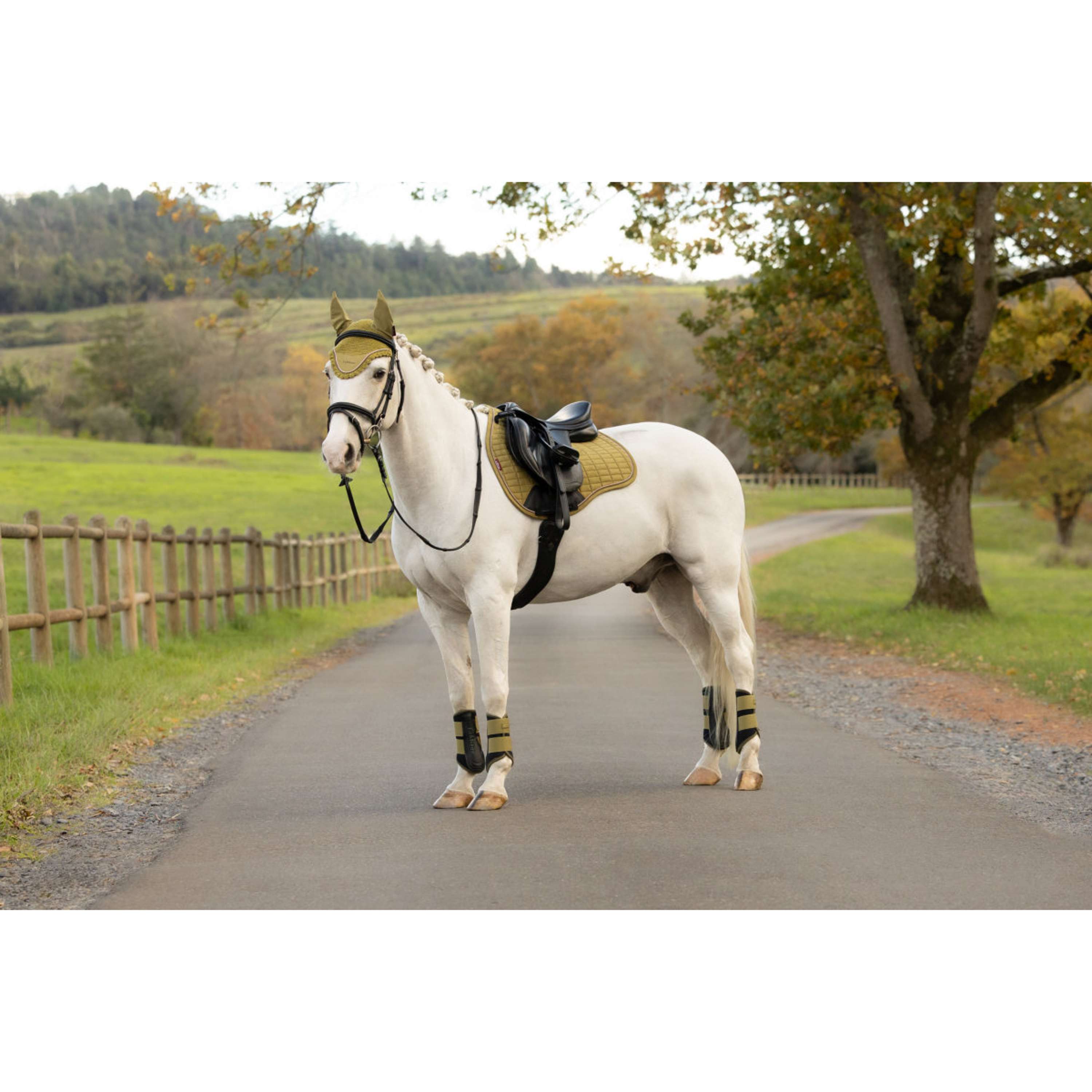 LeMieux Tapis de Selle Suede Square Polyvalence Gooseberry