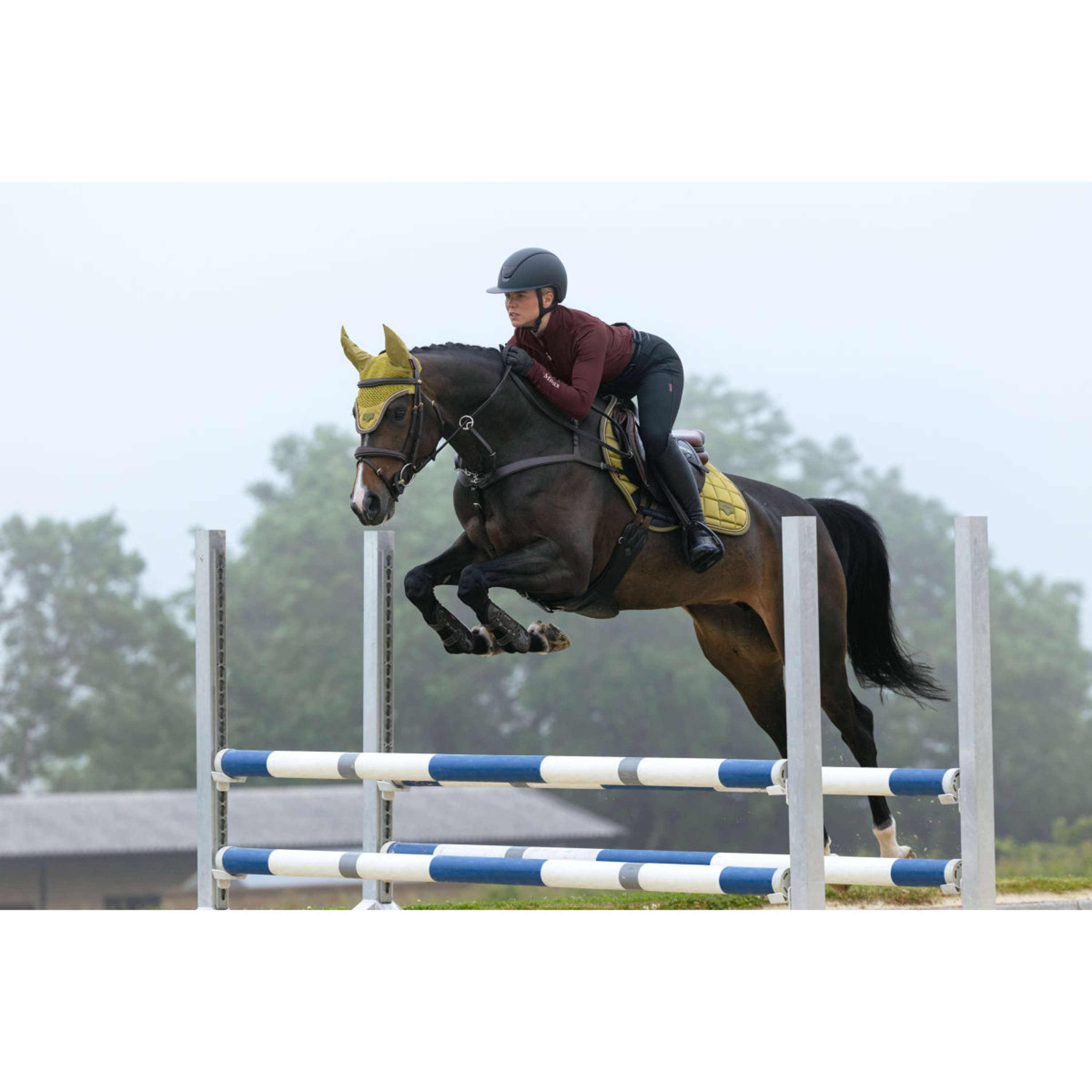 LeMieux Tapis de Selle Loire Classic Close Contact Square de Saut Gooseberry