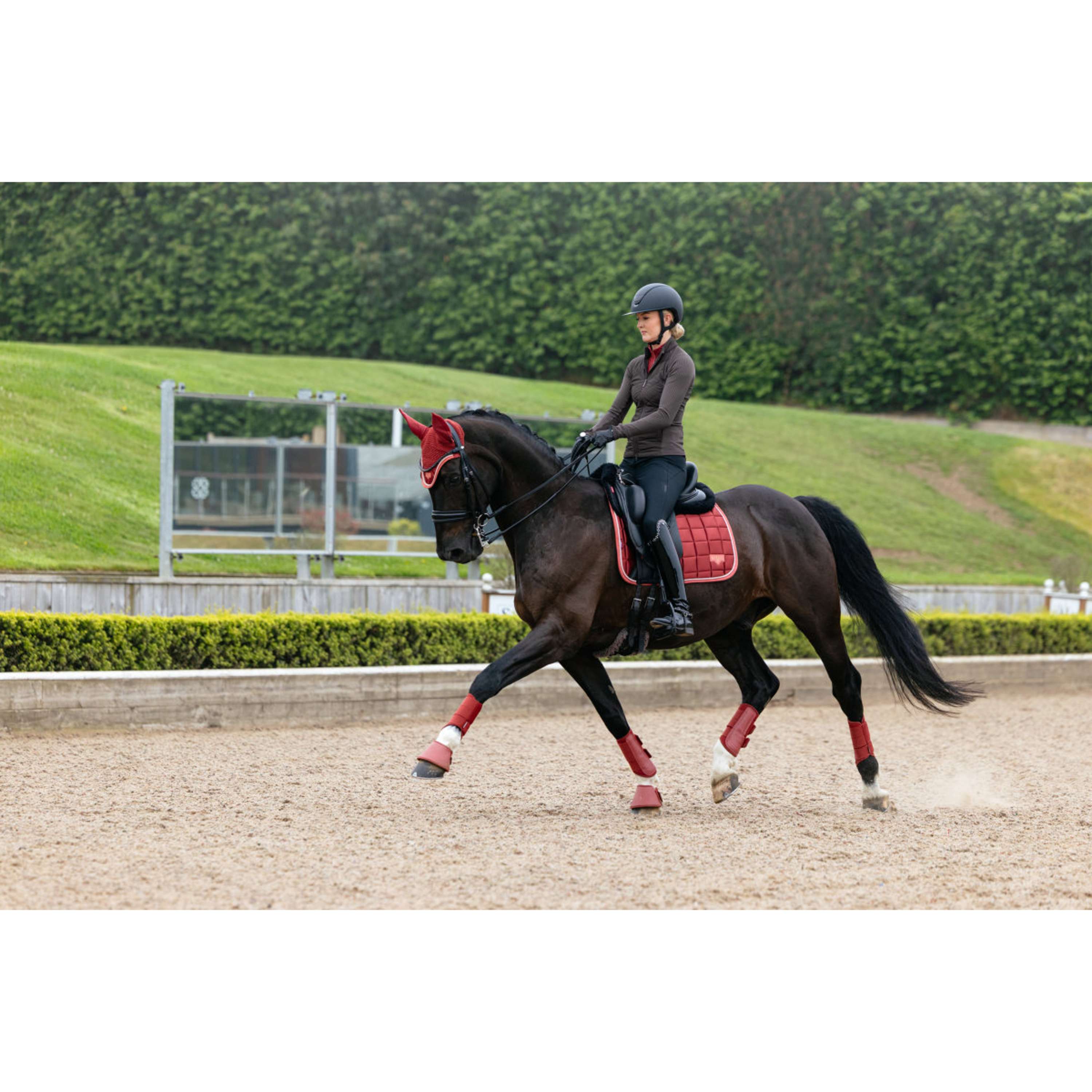 LeMieux Tapis de Selle Loire Classic Square Dressage Russet