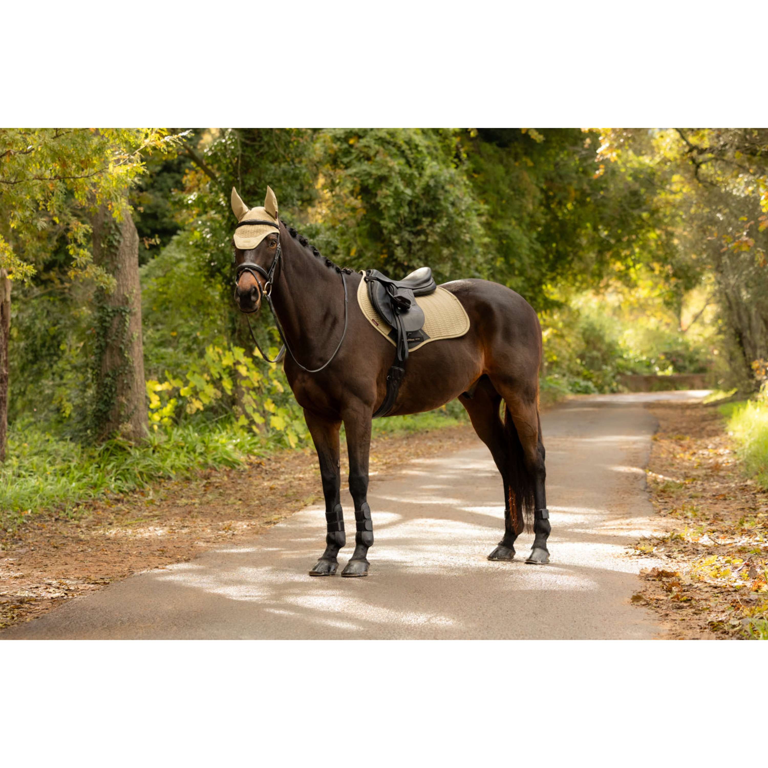 LeMieux Tapis de Selle Essence Close Contact Square de Saut Pear