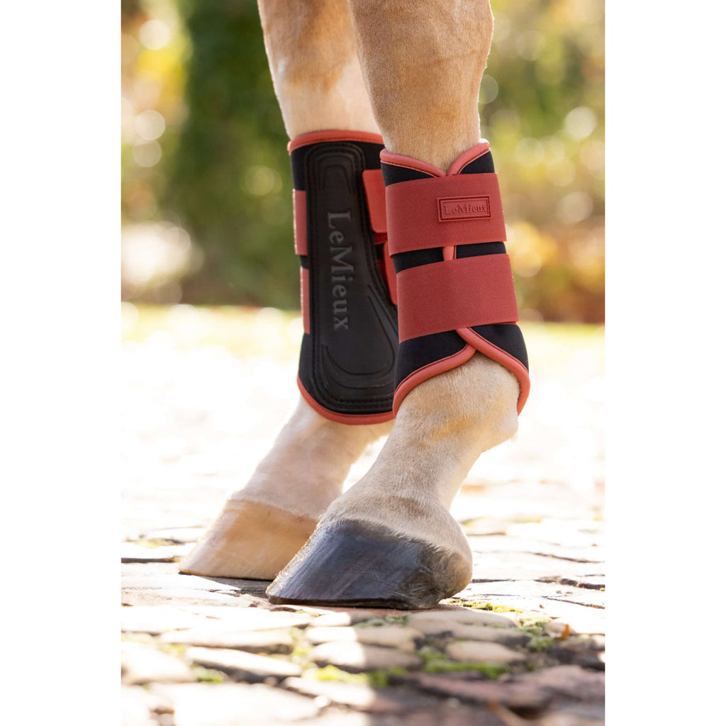 LeMieux Guêtres Air-Tek Grafter Russet