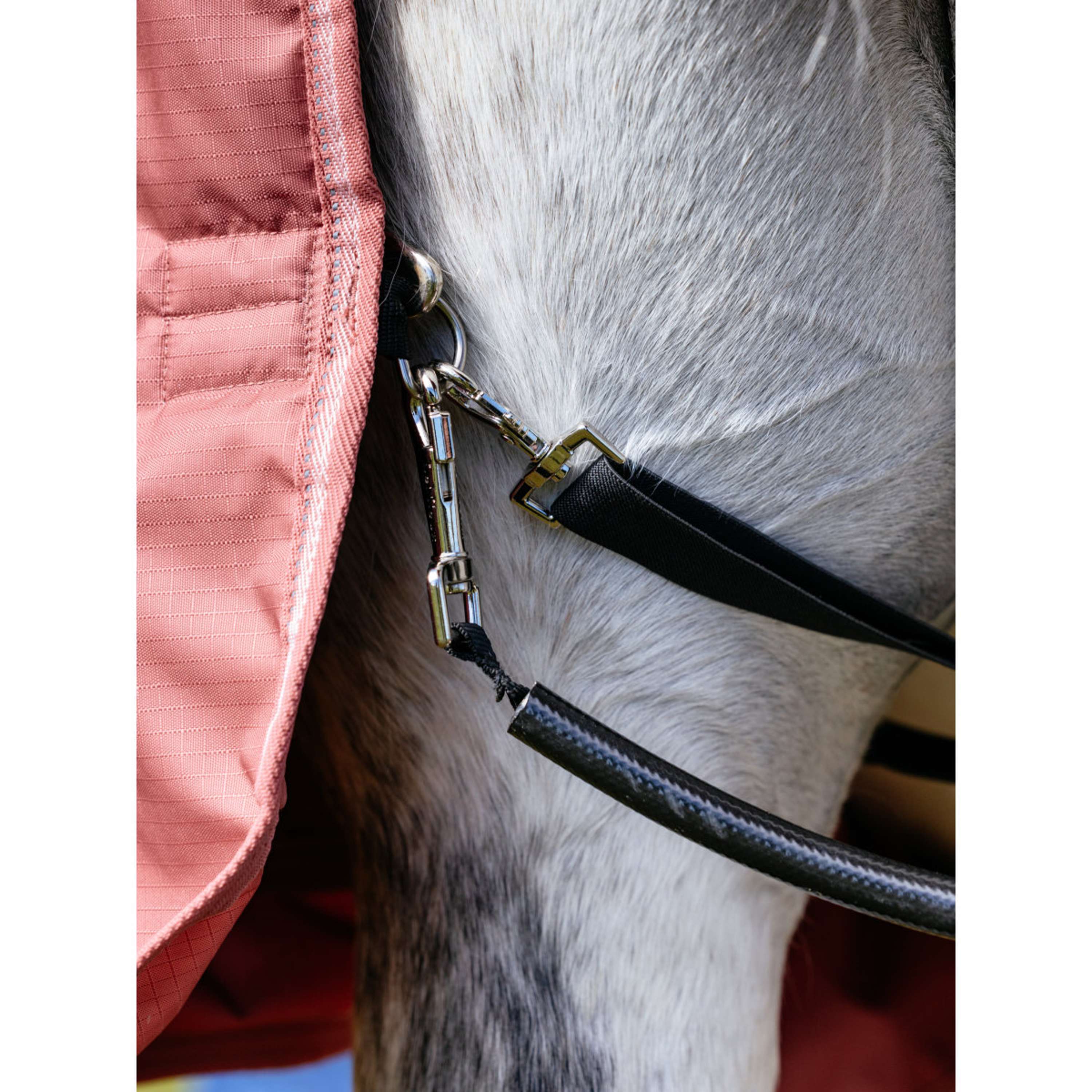 LeMieux Couverture Imperméable Arika Star 0g Spiced Earth