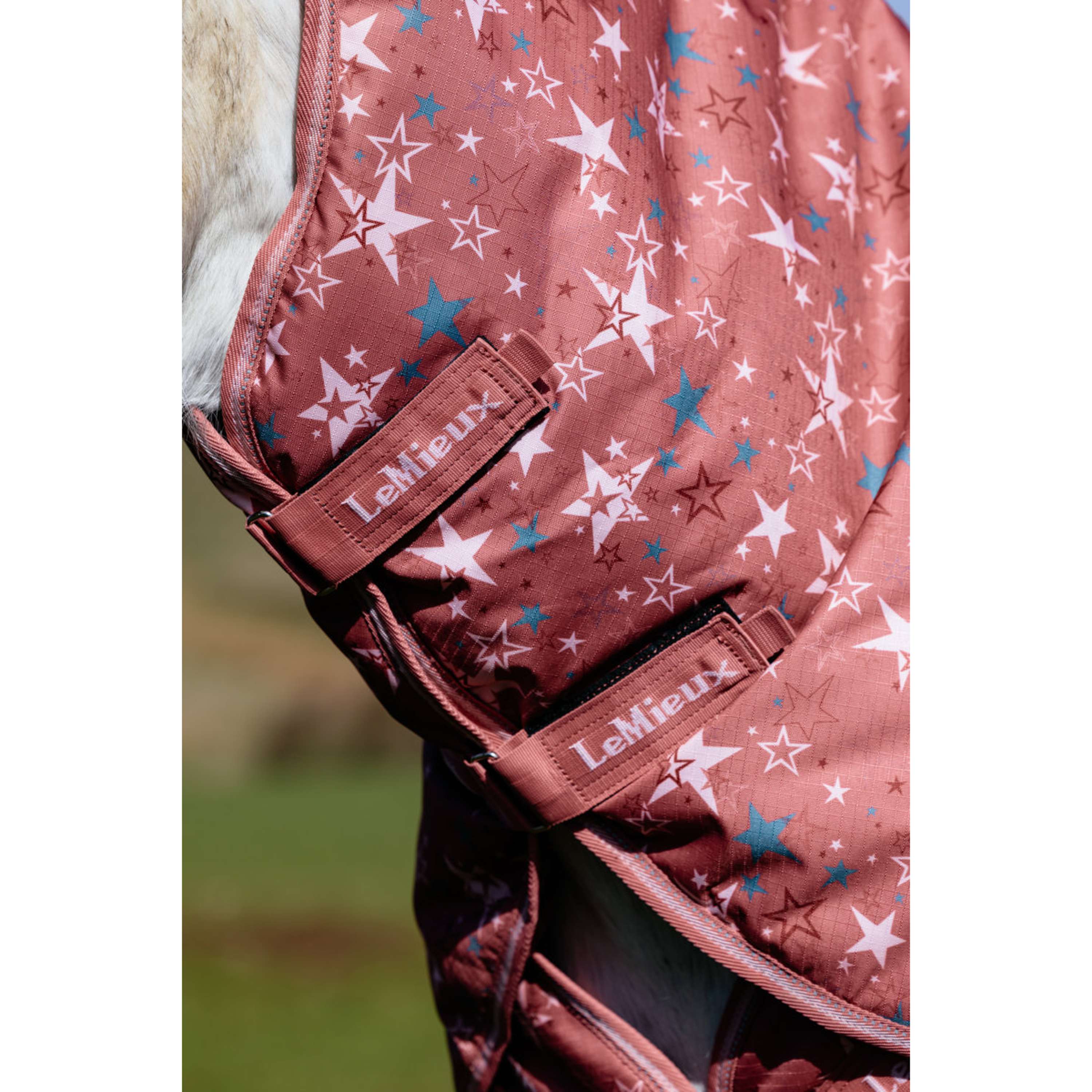 LeMieux Couverture Imperméable Arika Star 0g Spiced Earth