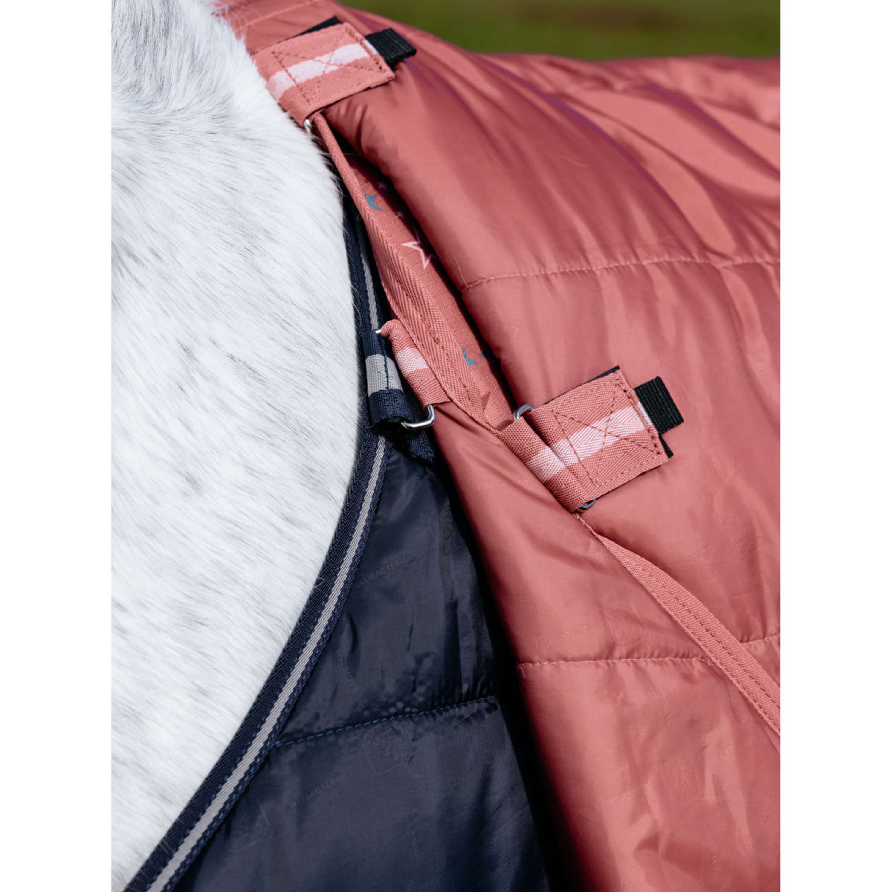 LeMieux Couverture Imperméable Arika Star 0g Spiced Earth