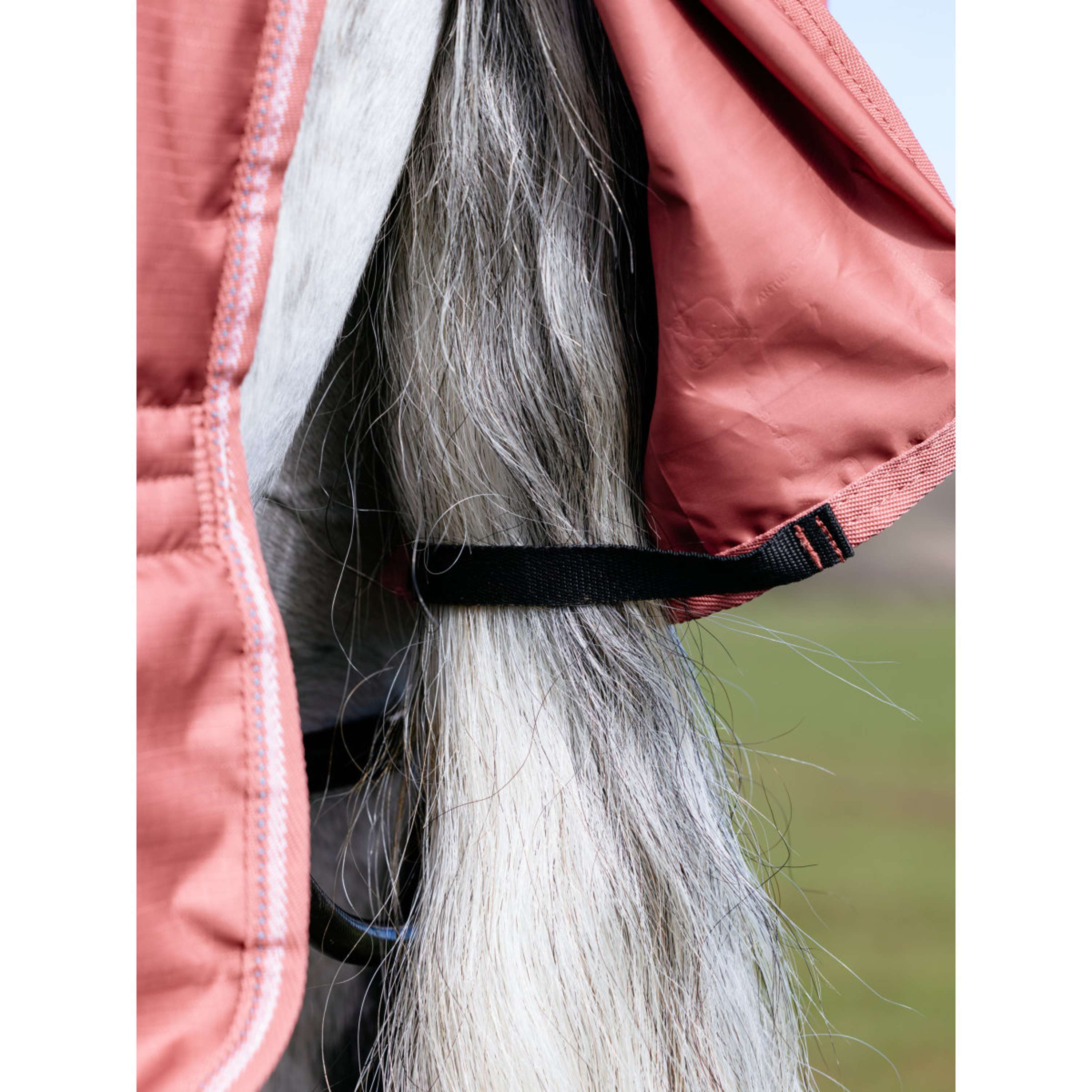 LeMieux Couverture Imperméable Arika Star 0g Spiced Earth