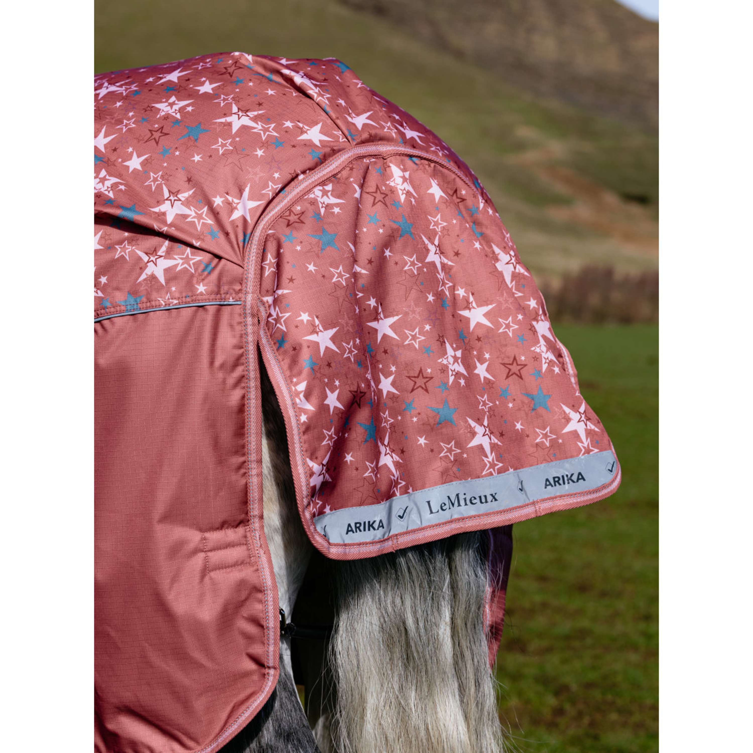 LeMieux Couverture Imperméable Arika Star 0g Spiced Earth