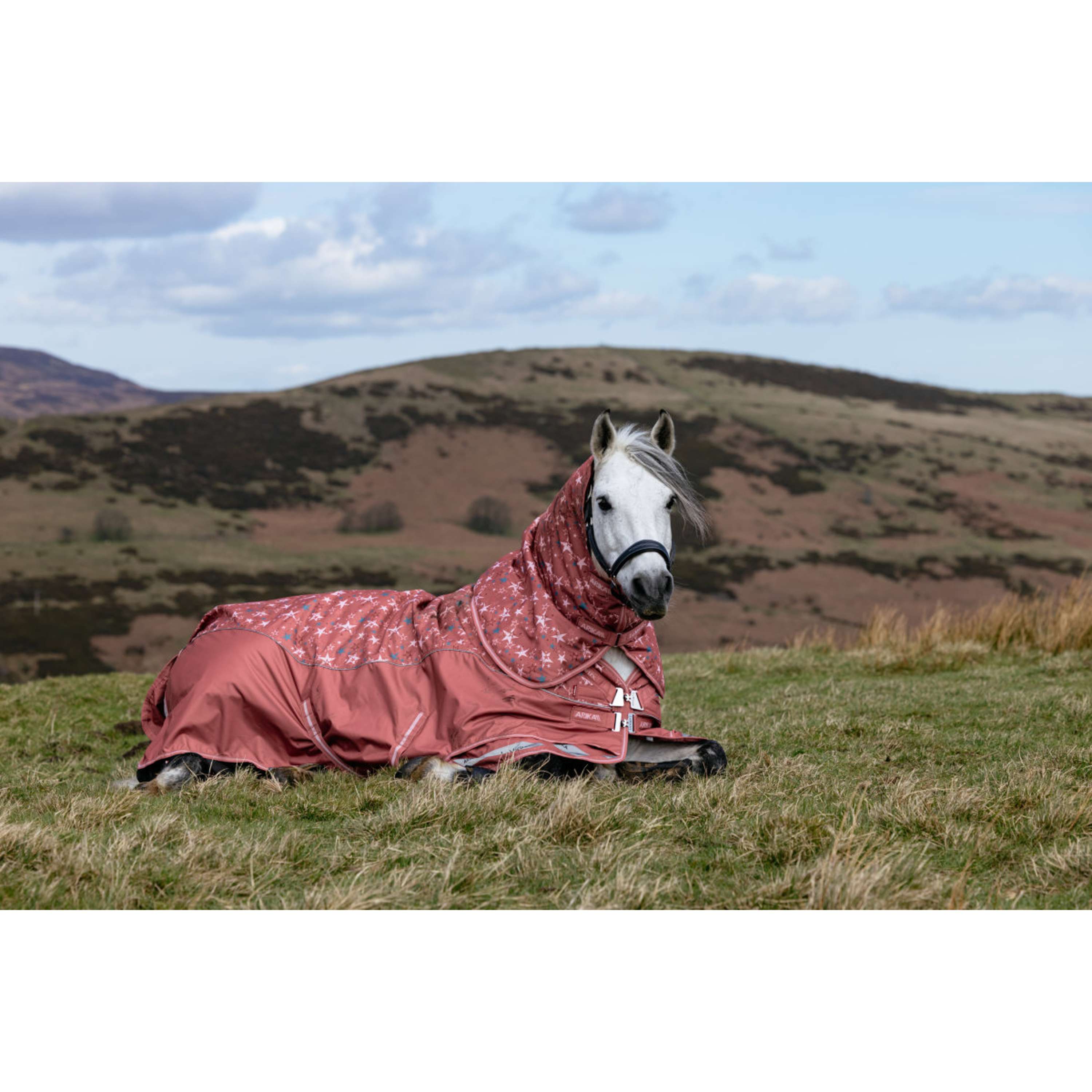 LeMieux Couverture Imperméable Arika Star 0g Spiced Earth