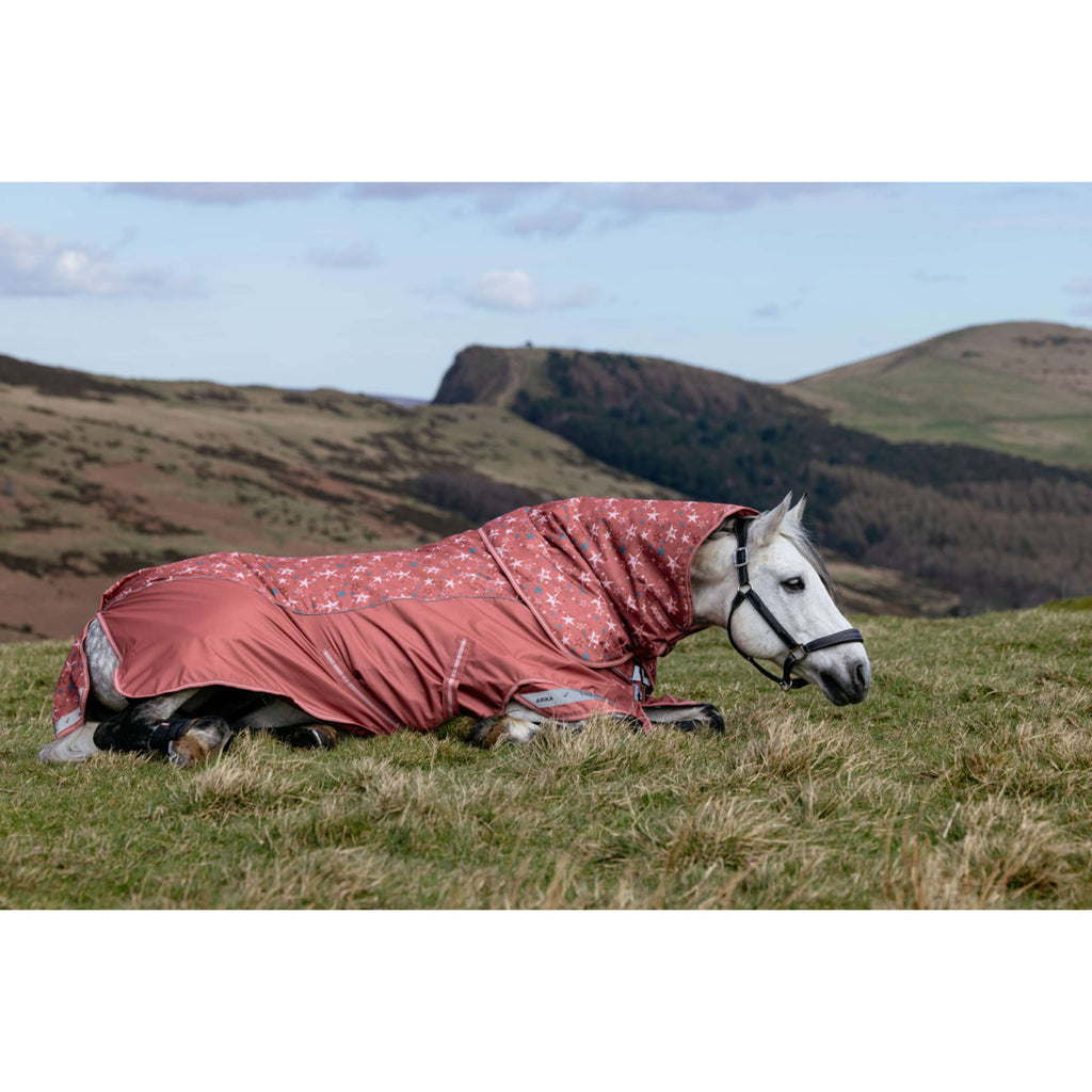 LeMieux Couverture Imperméable Arika Star 0g Spiced Earth