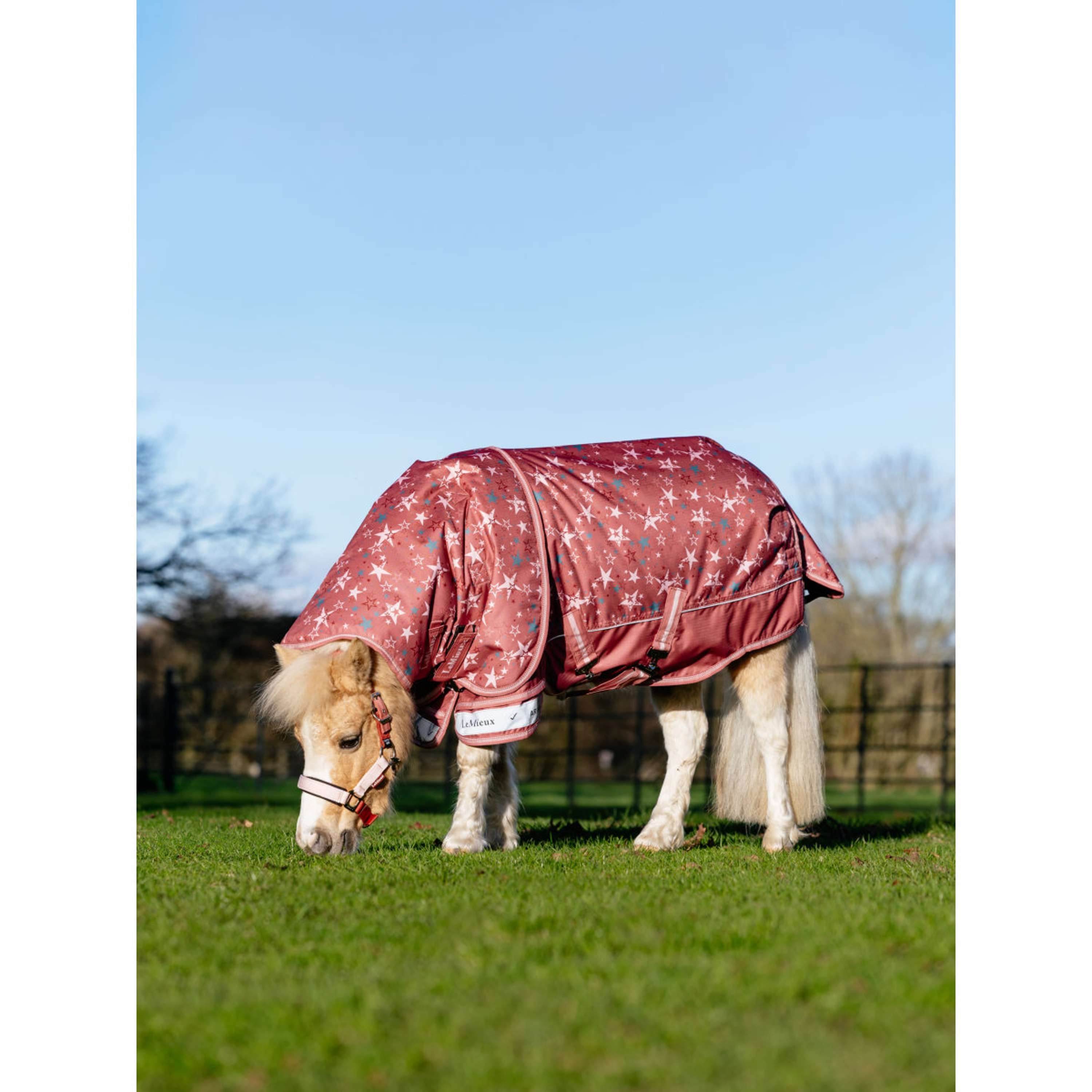 LeMieux Couverture Imperméable Arika Star 0g Spiced Earth