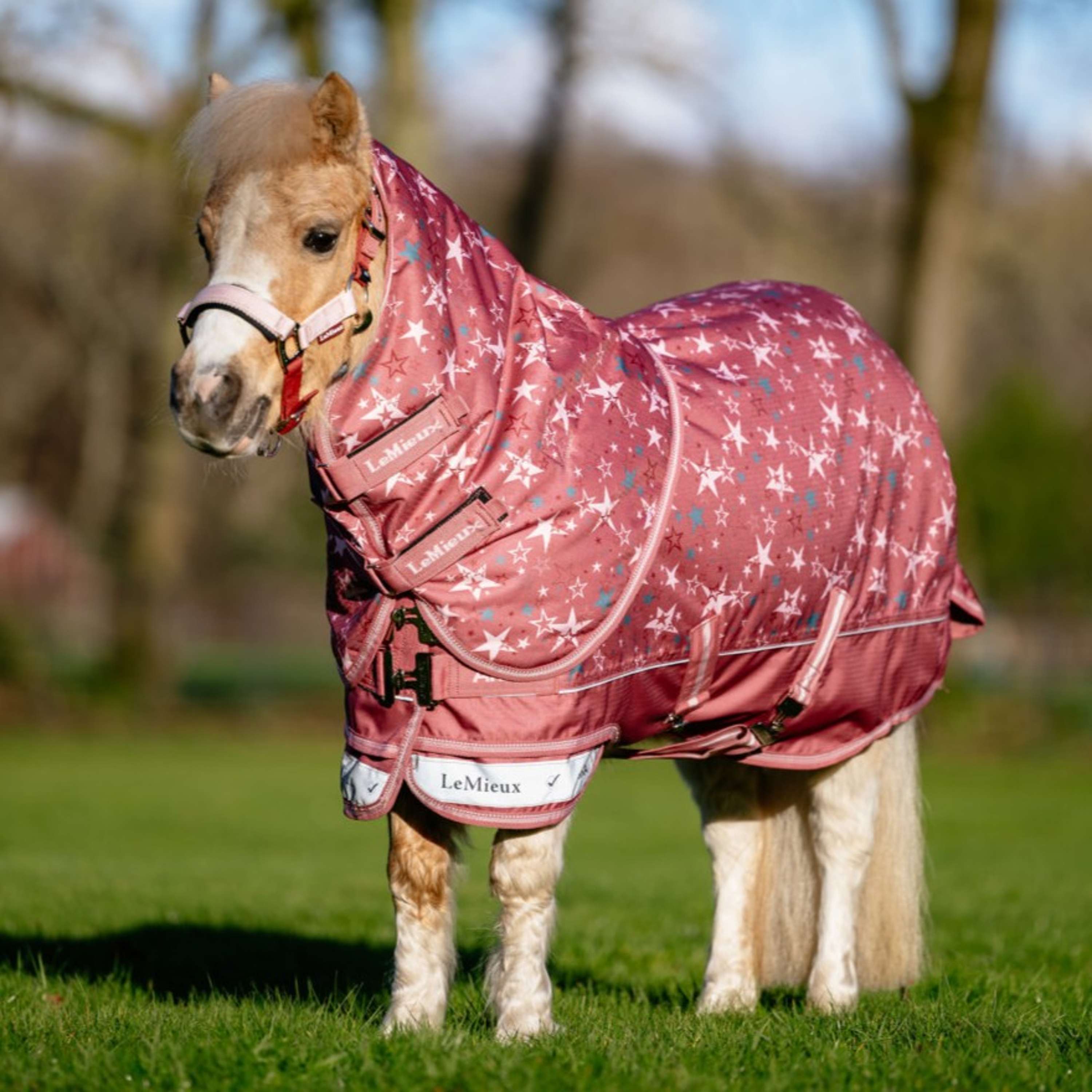 LeMieux Couverture Imperméable Arika Star 0g Spiced Earth