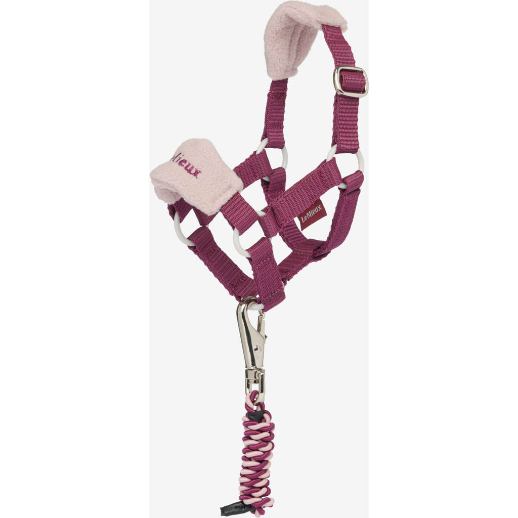 LeMieux Toy Pony Ensemble Licou Blackberry