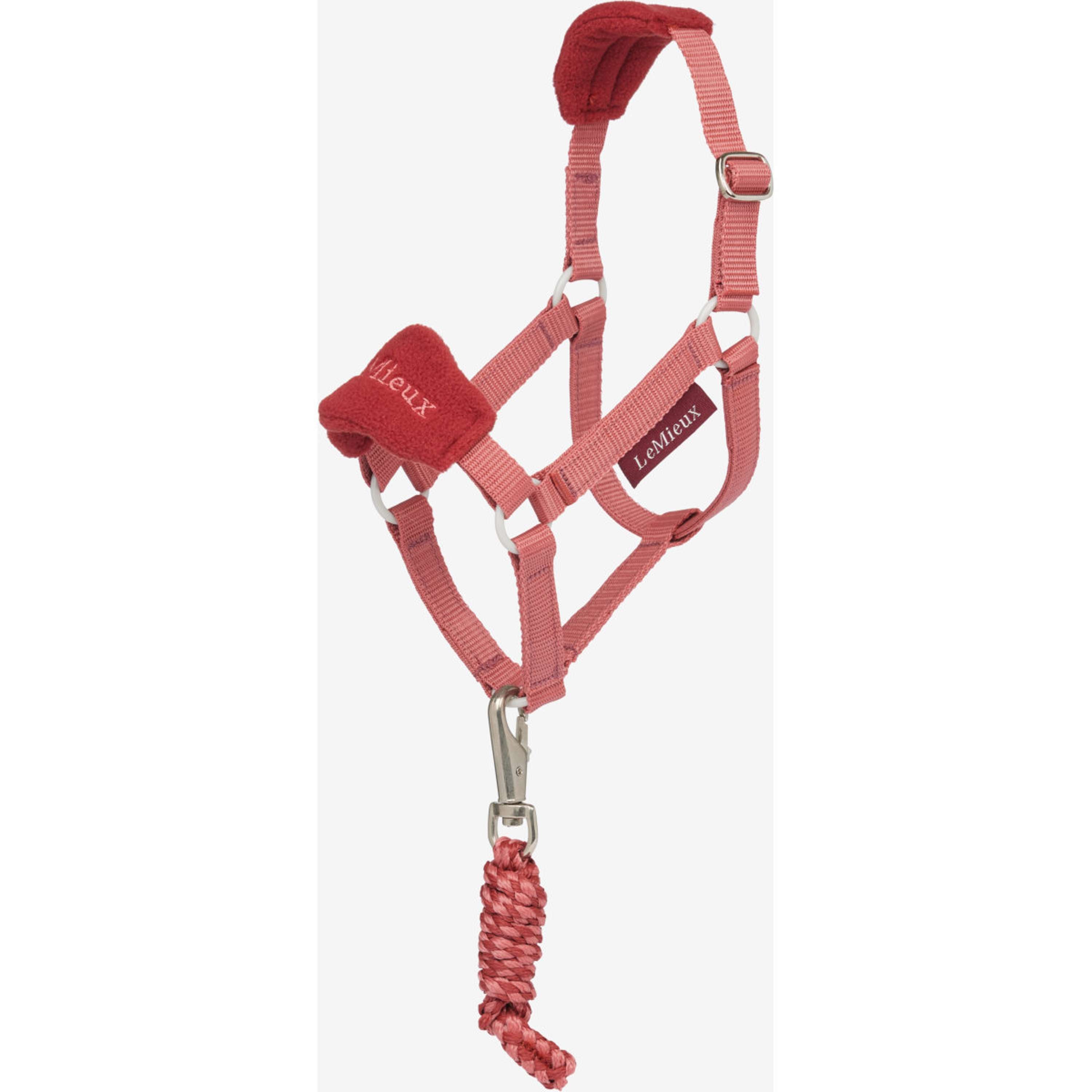 LeMieux Hobby Horse Ensemble Licol Spiced Earth