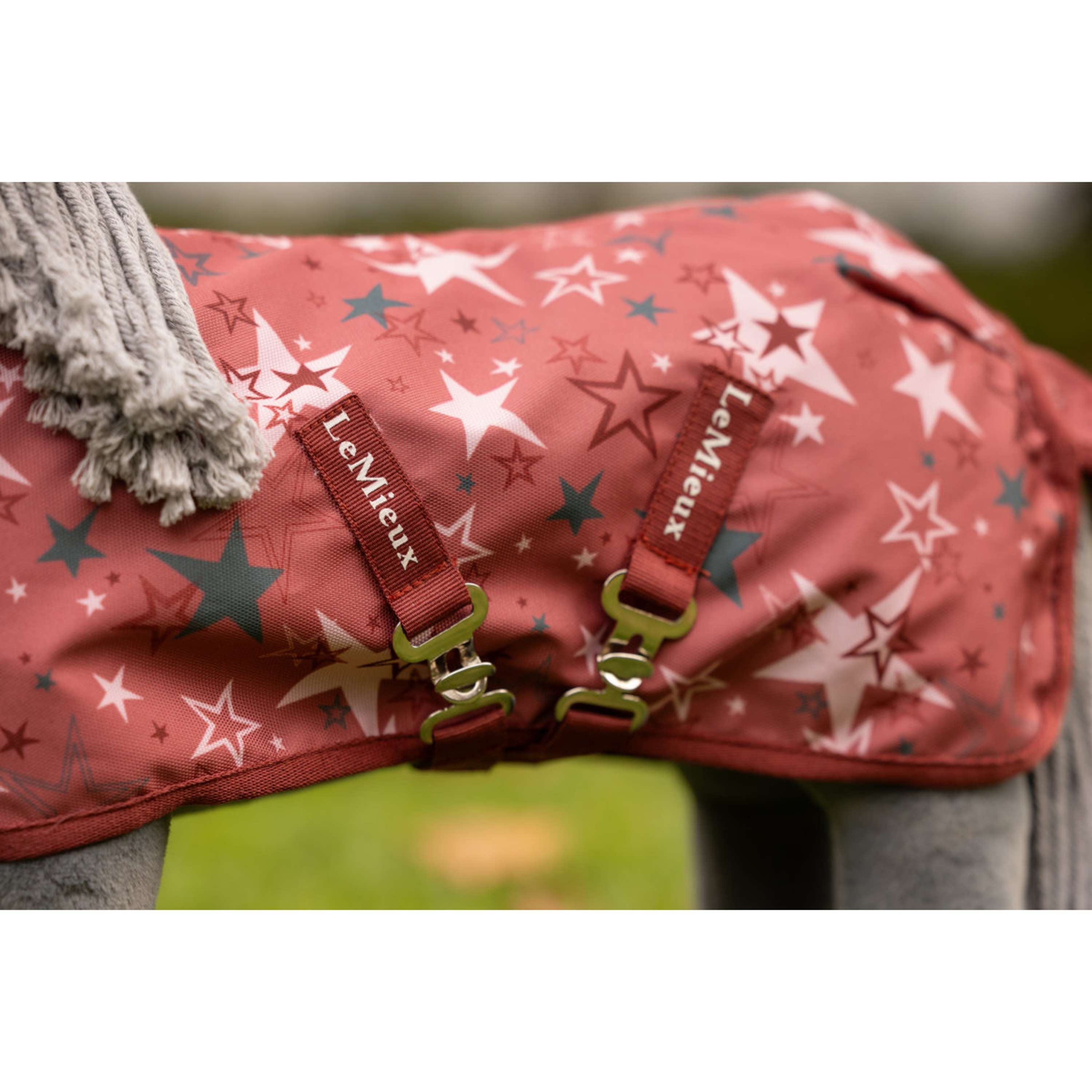 LeMieux Toy Pony Couverture Printed Turnout Spiced Earth