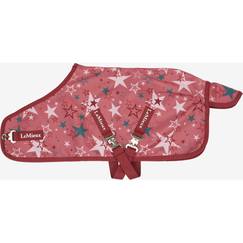 LeMieux Toy Pony Couverture Printed Turnout Spiced Earth