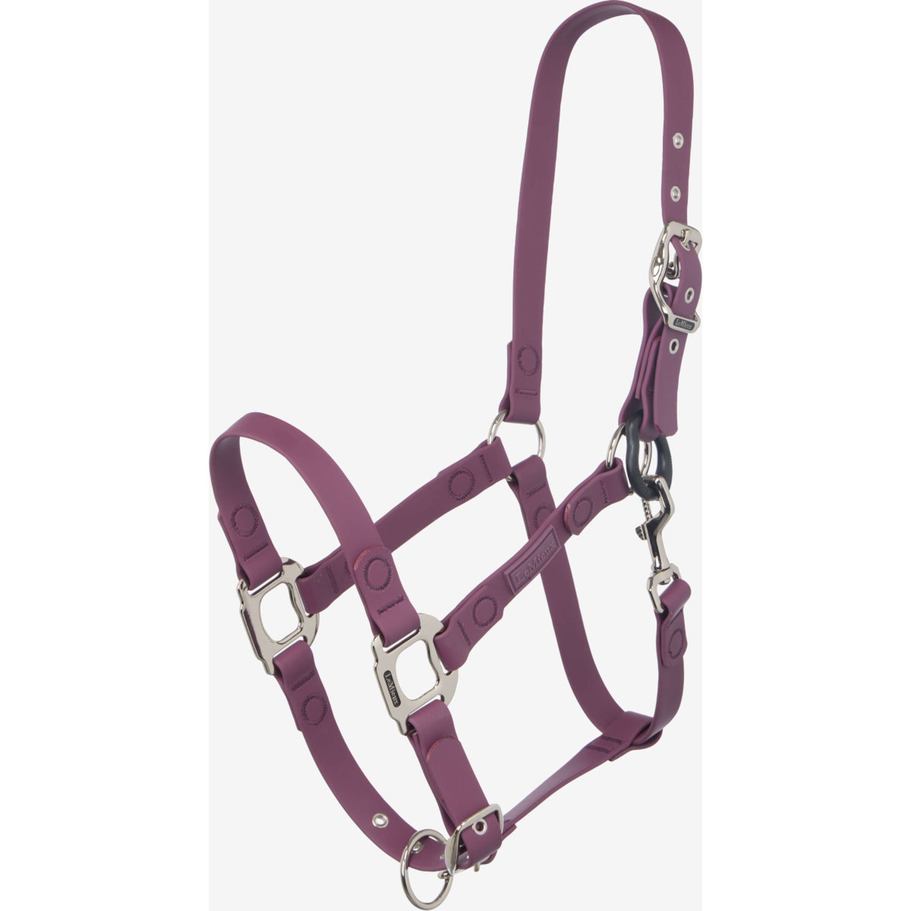 LeMieux Licol FieldFlex Breakaway Blackberry