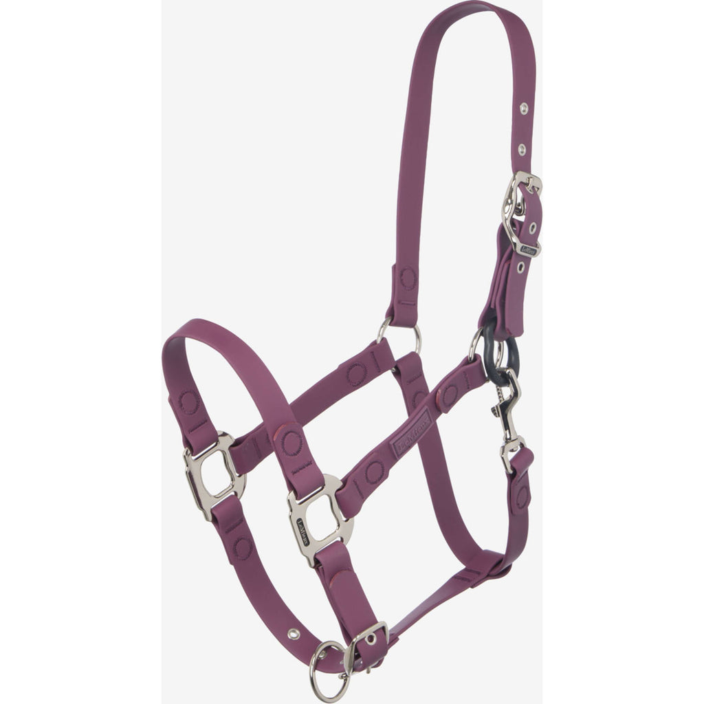 LeMieux Licol FieldFlex Breakaway Blackberry