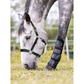 LeMieux Licol Break Away Noir