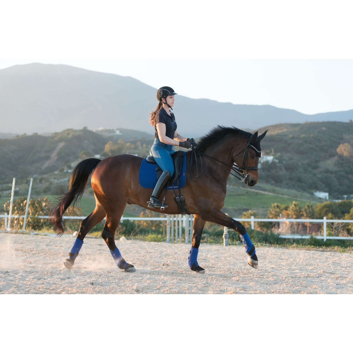 LeMieux Tapis de Selle Luxury Square Dressage Benetton Blue