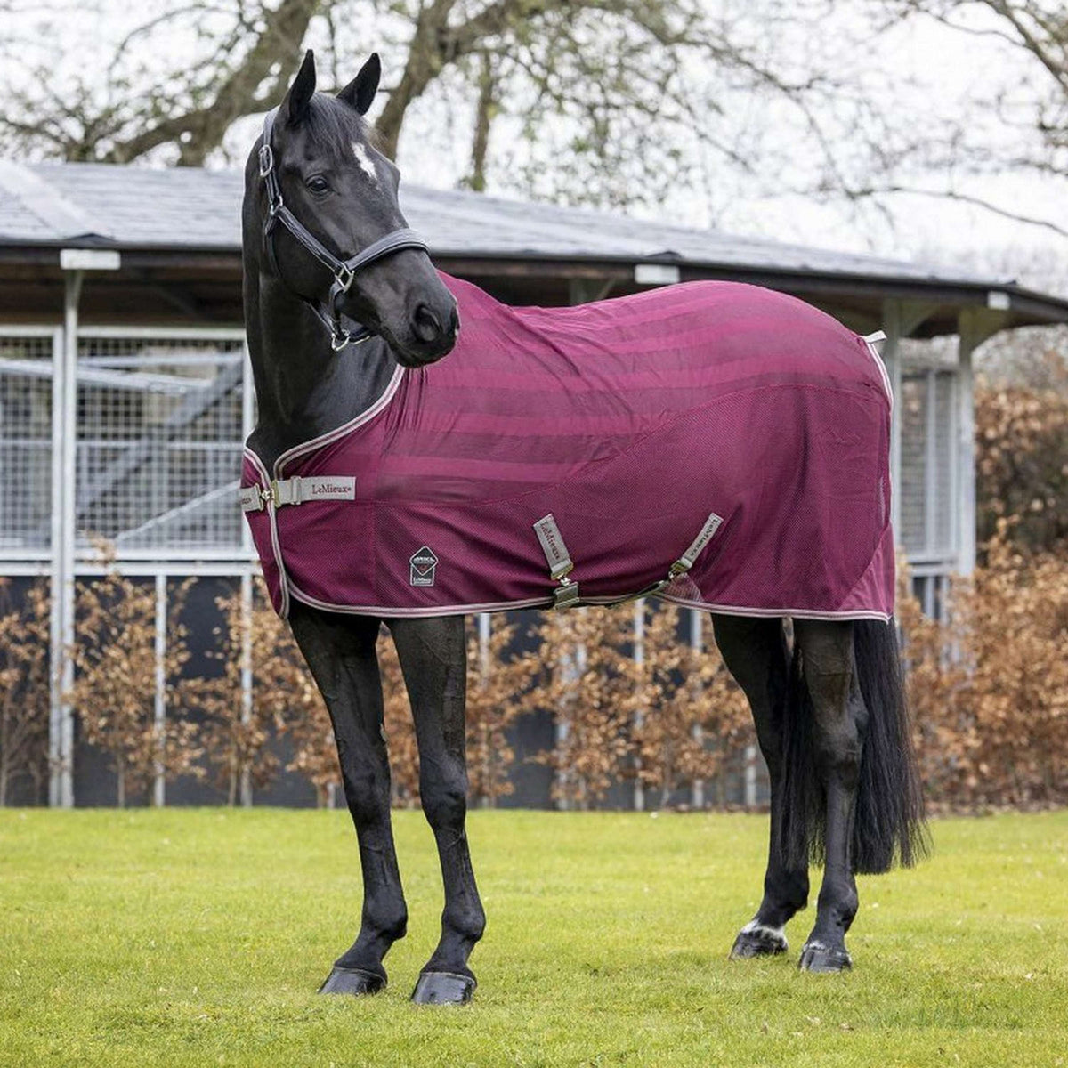 LeMieux Couverture d'Été Arika Air-Tek Bordeaux