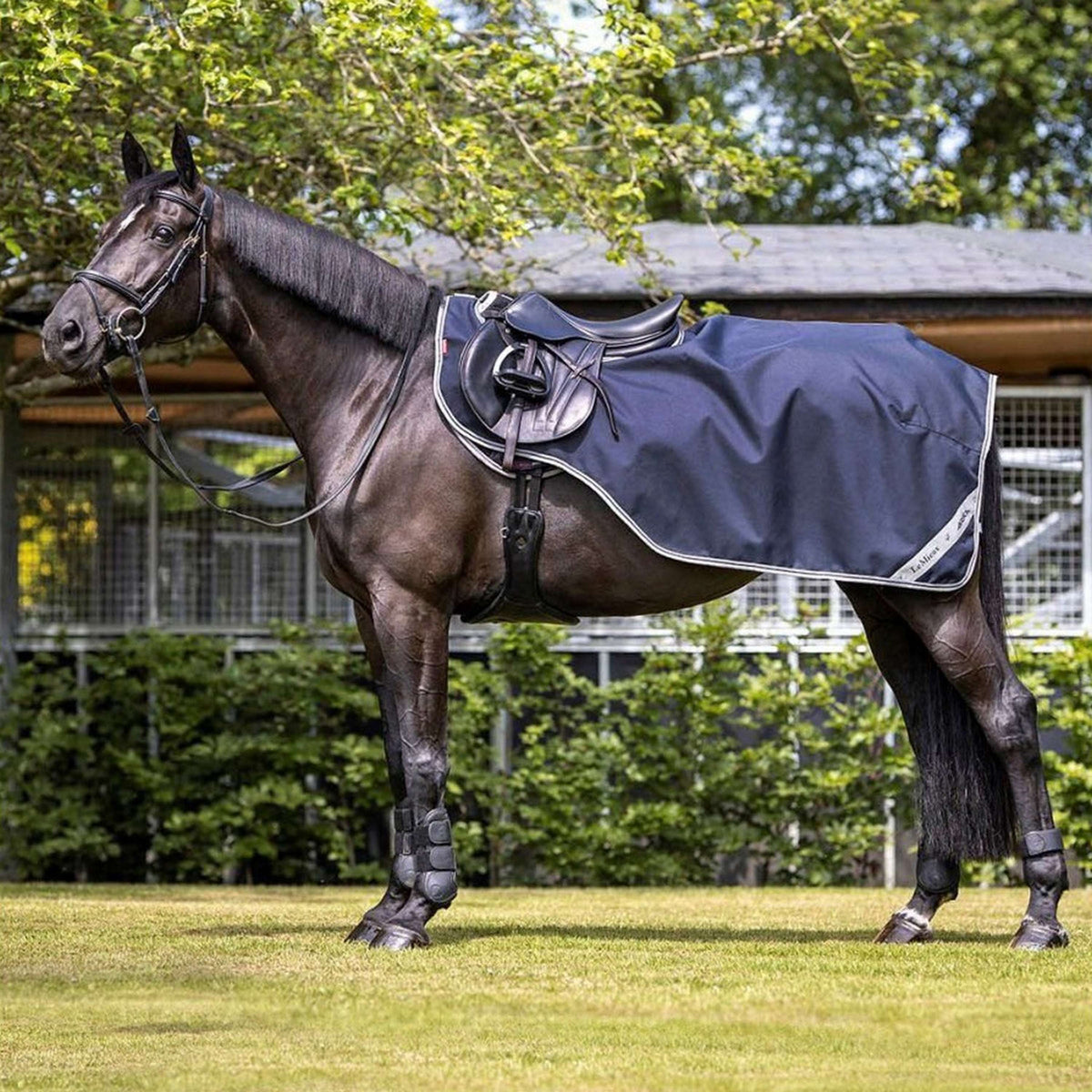 LeMieux Couvre-reins Arika Exercise Marin