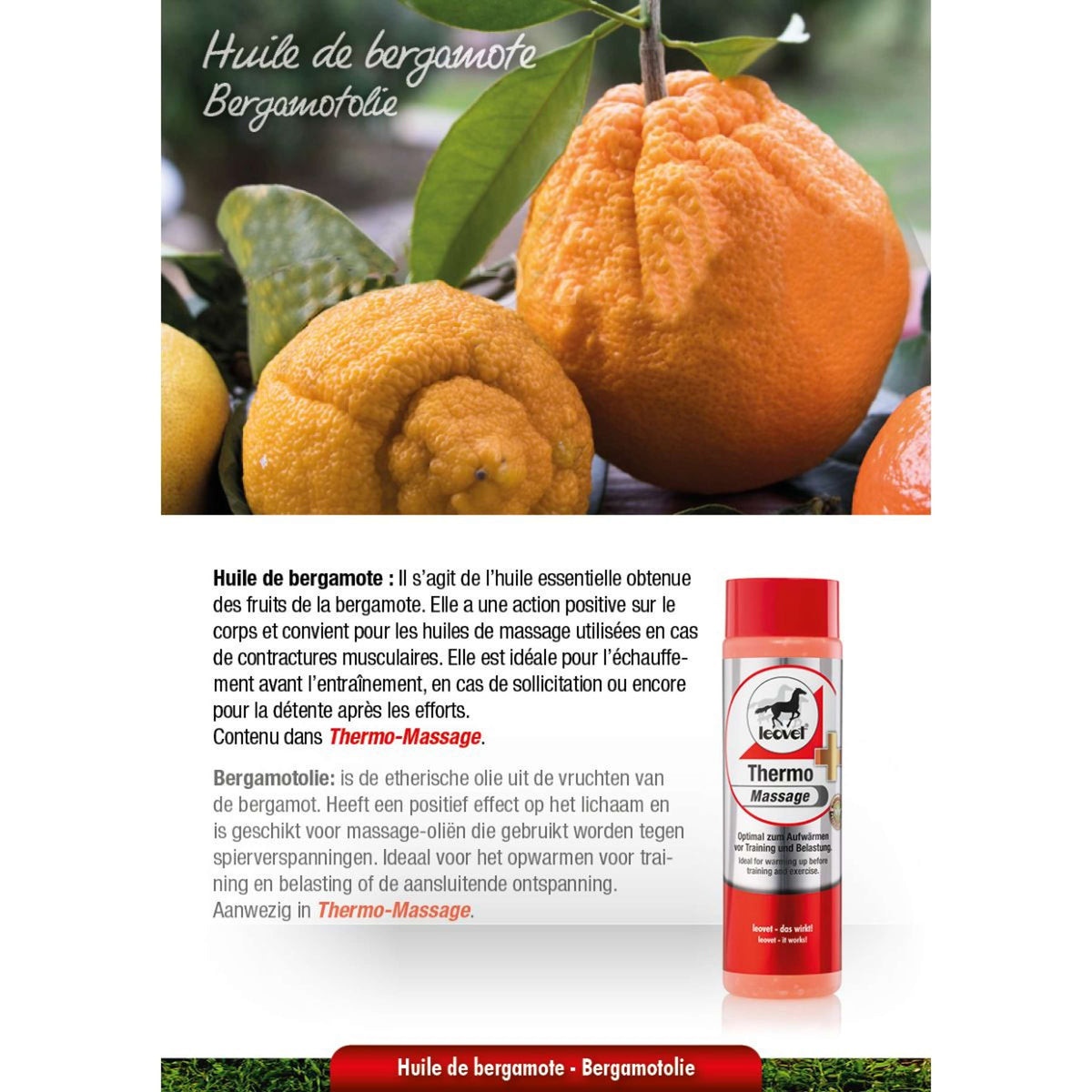 Leovet Massage Thermique